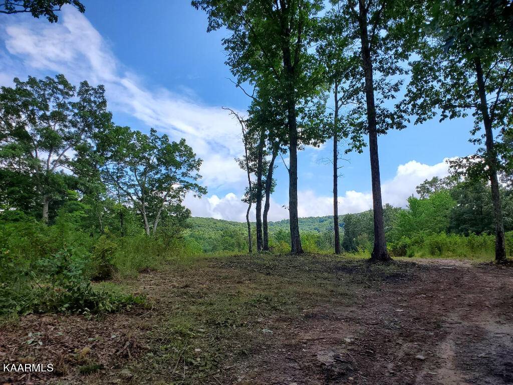 Crab Orchard, TN 37723,5924 Hebbertsburg Rd