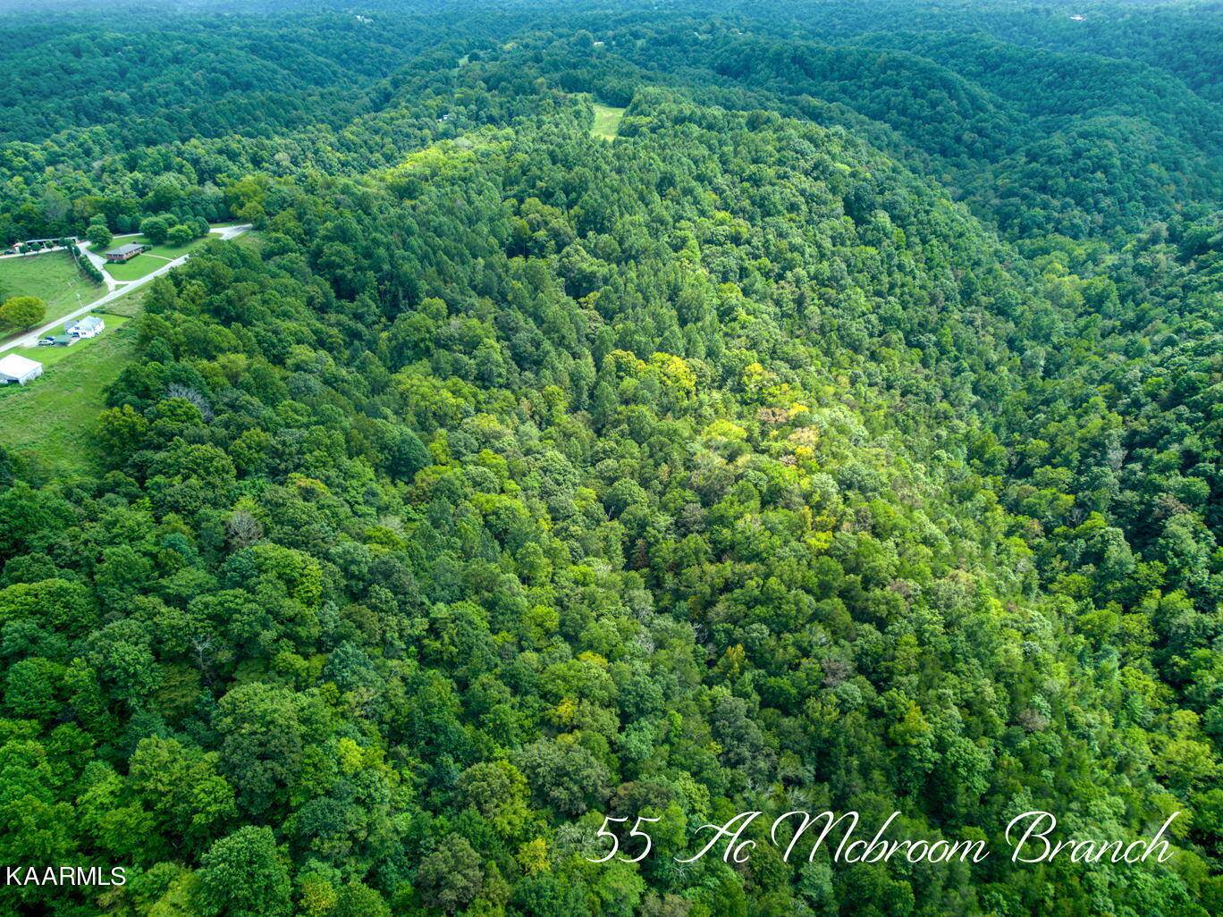 Baxter, TN 38544,55 AC McBroom Branch Rd