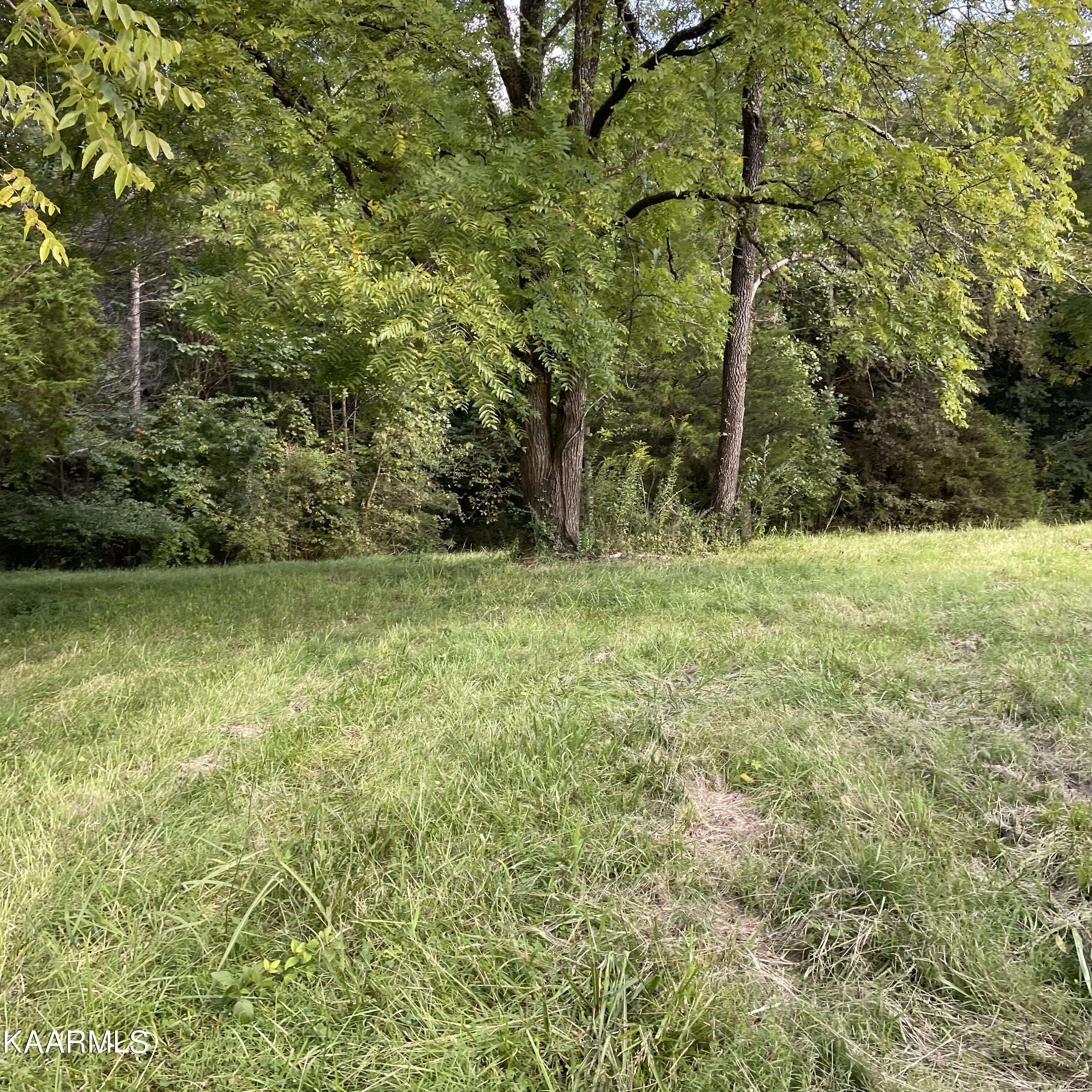 Tellico Plains, TN 37385,190 J D Farm Rd