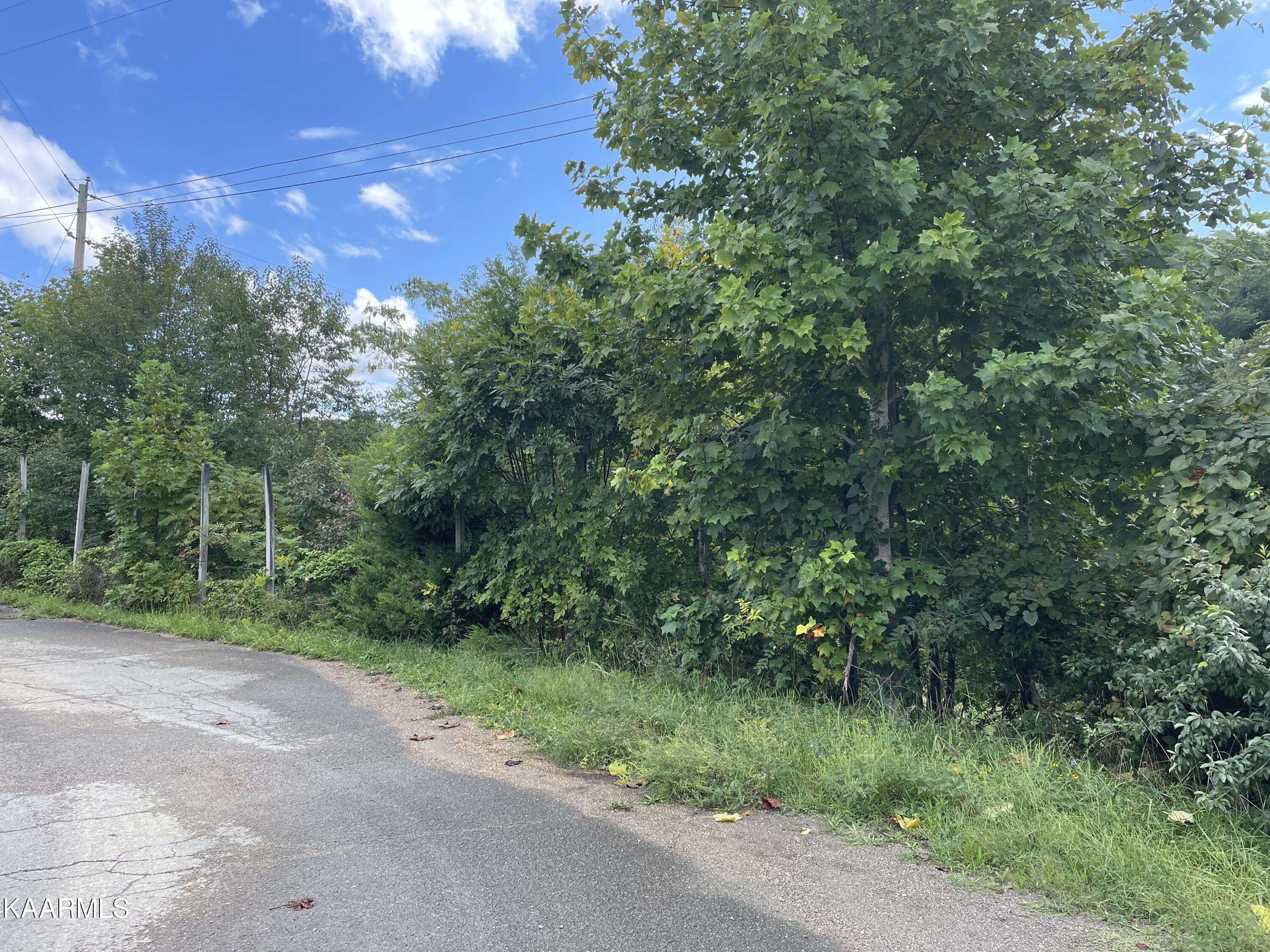 Speedwell, TN 37870,298 Elizabeth Russell Rd