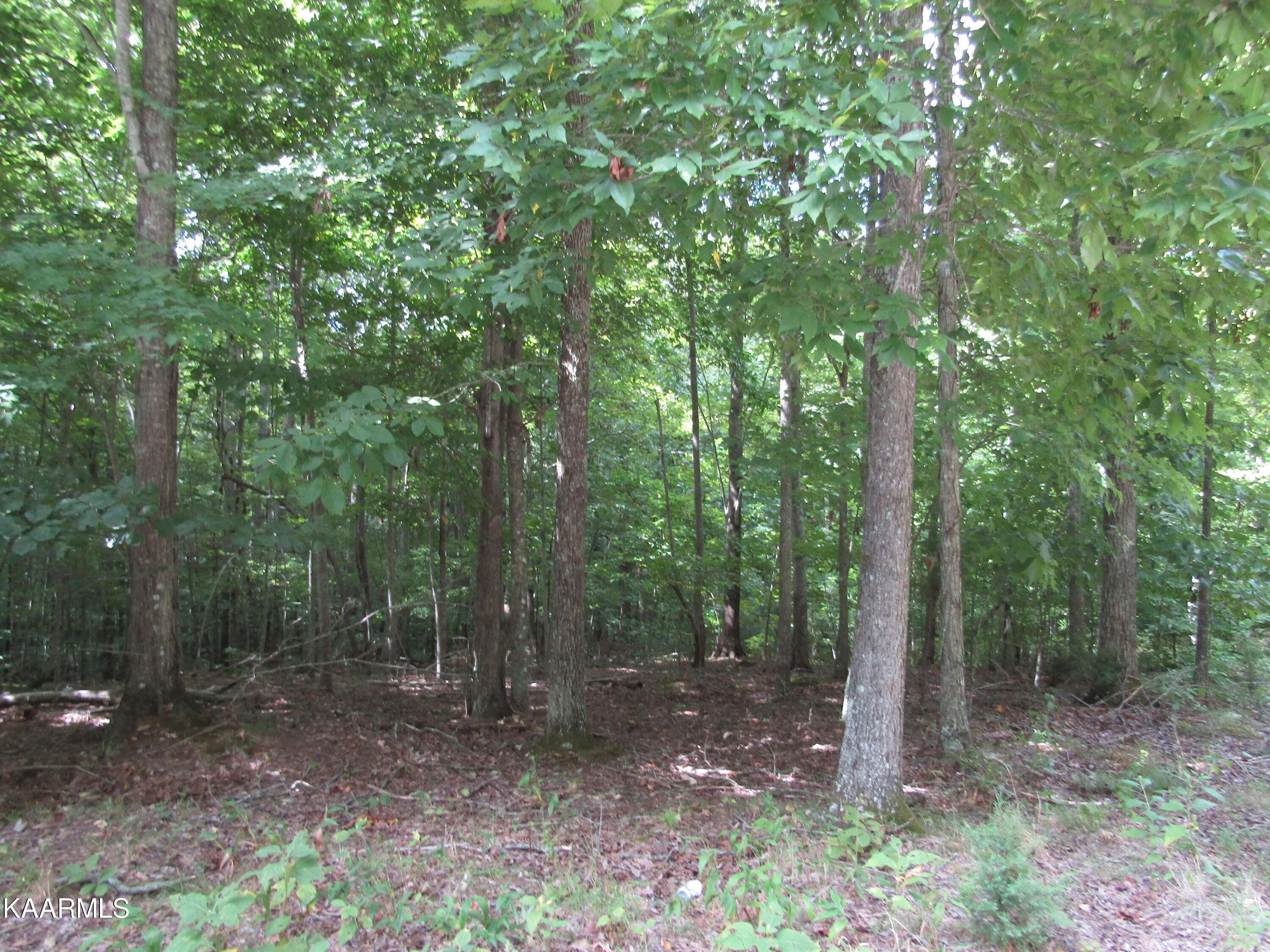 Hilham, TN 38568,Lot 4 Jennifer Lane