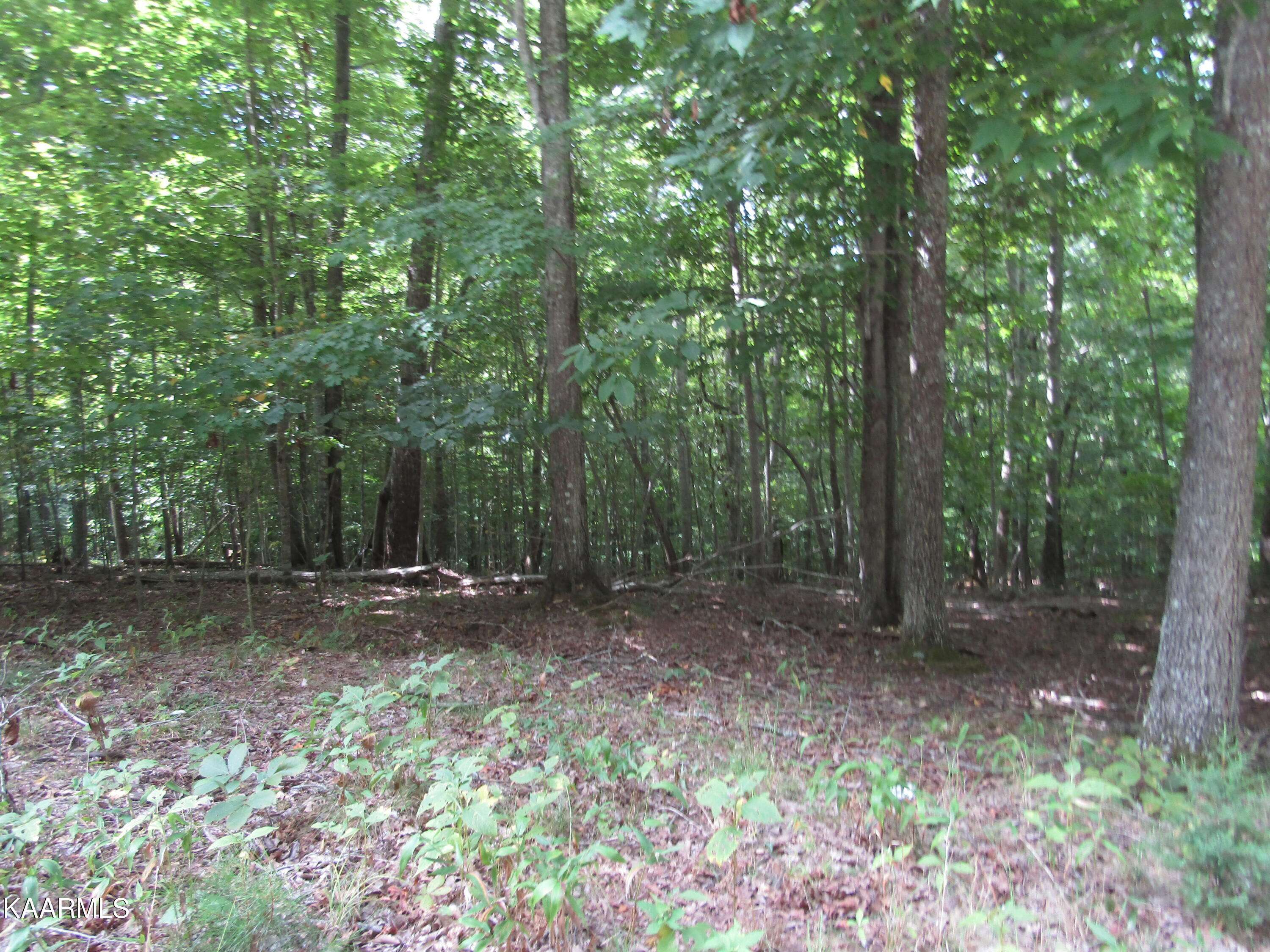 Hilham, TN 38568,Lot 4 Jennifer Lane