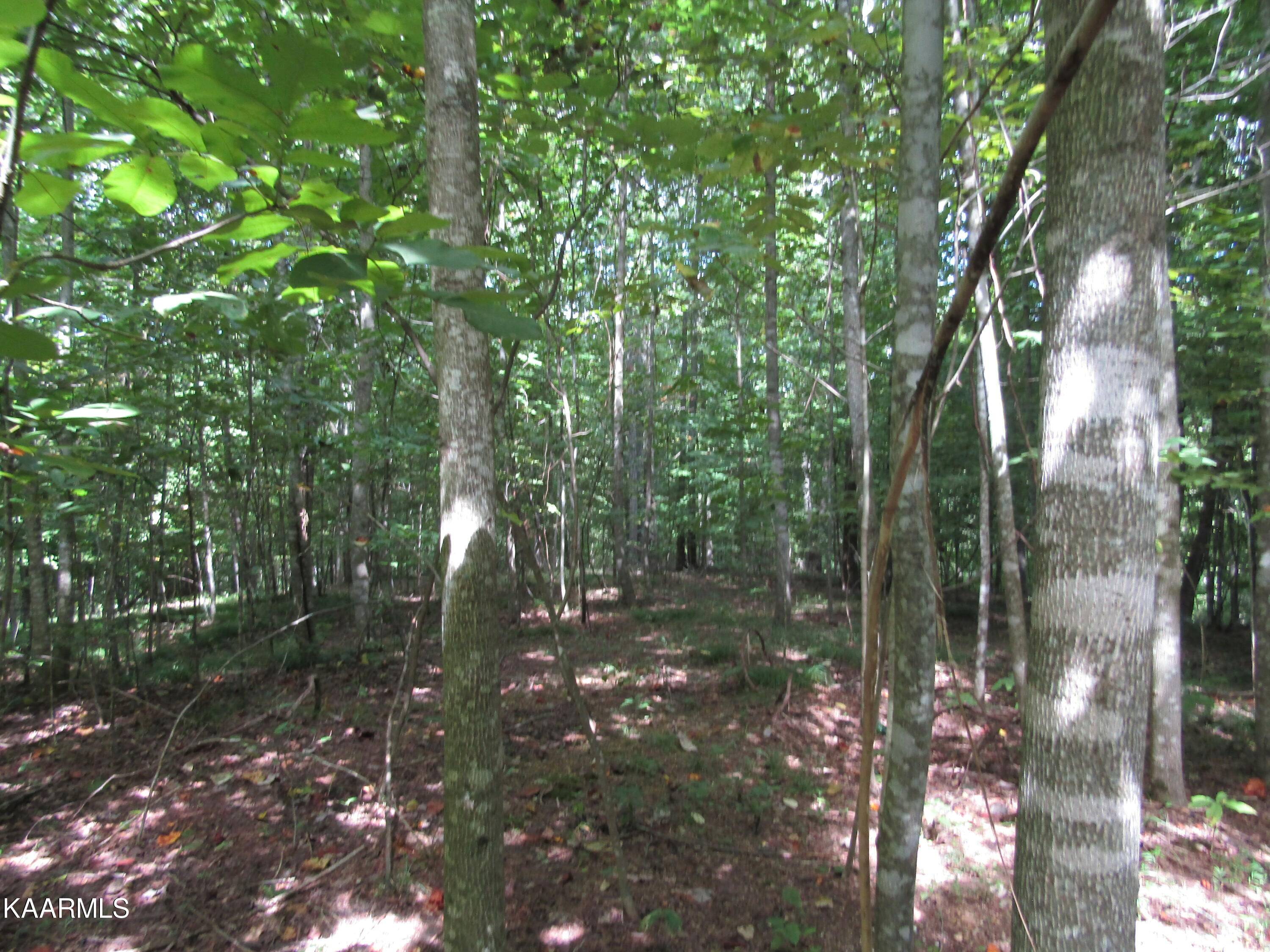 Hilham, TN 38568,Lot 10 Jennifer Lane