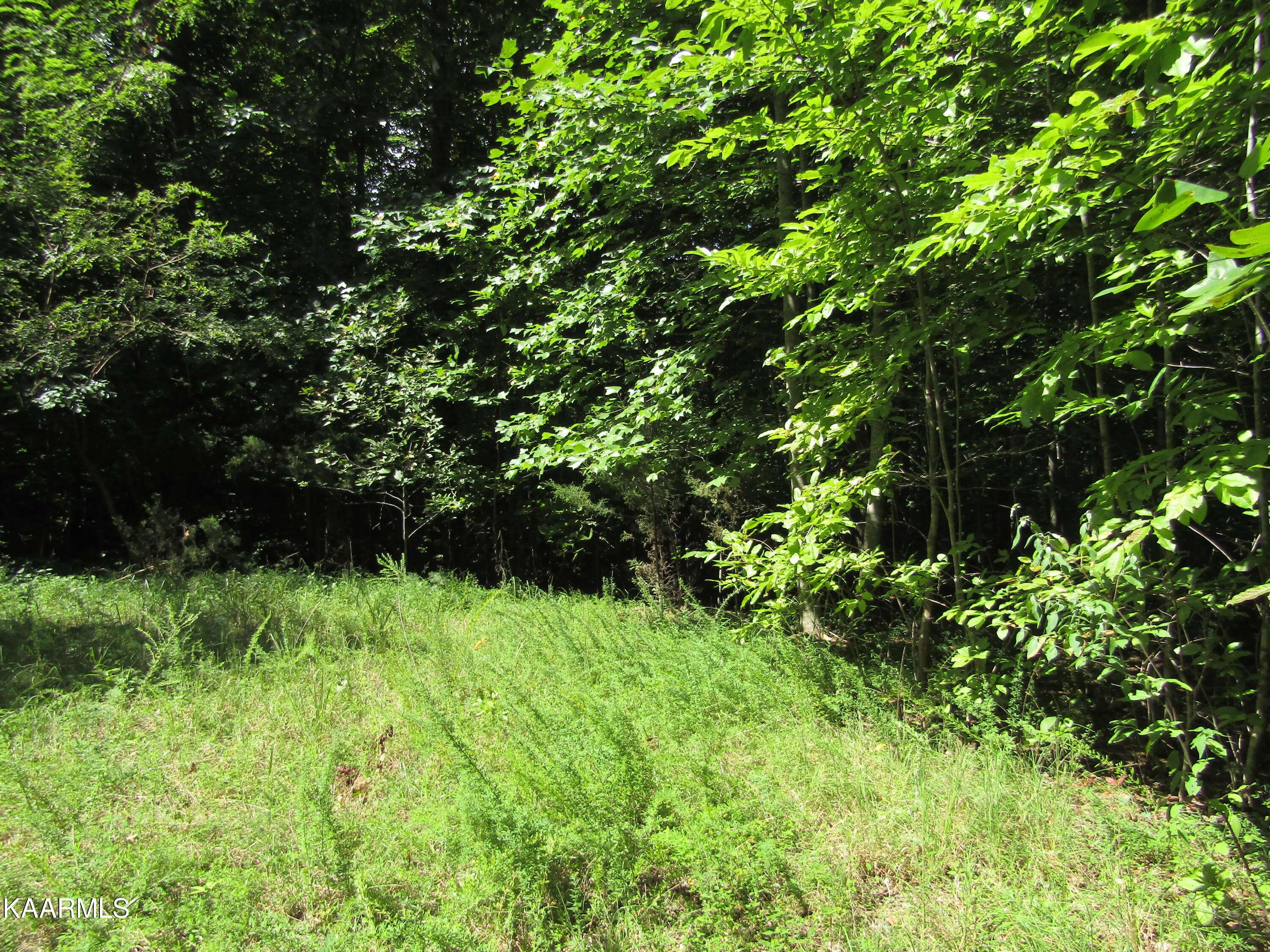 Hilham, TN 38568,Lot 10 Jennifer Lane