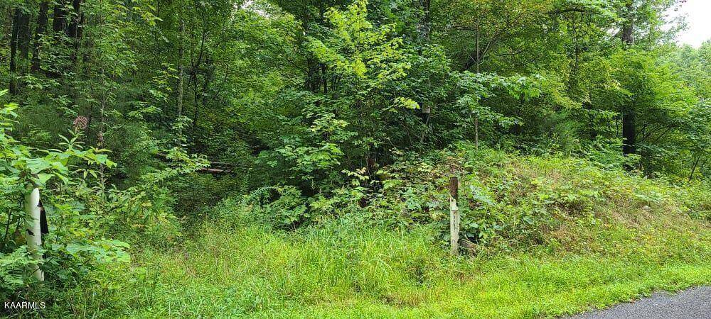 Rogersville, TN 37857,TBD Sandy Valley Rd