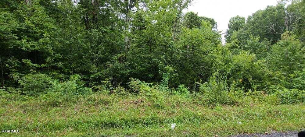 Rogersville, TN 37857,TBD Sandy Valley Rd