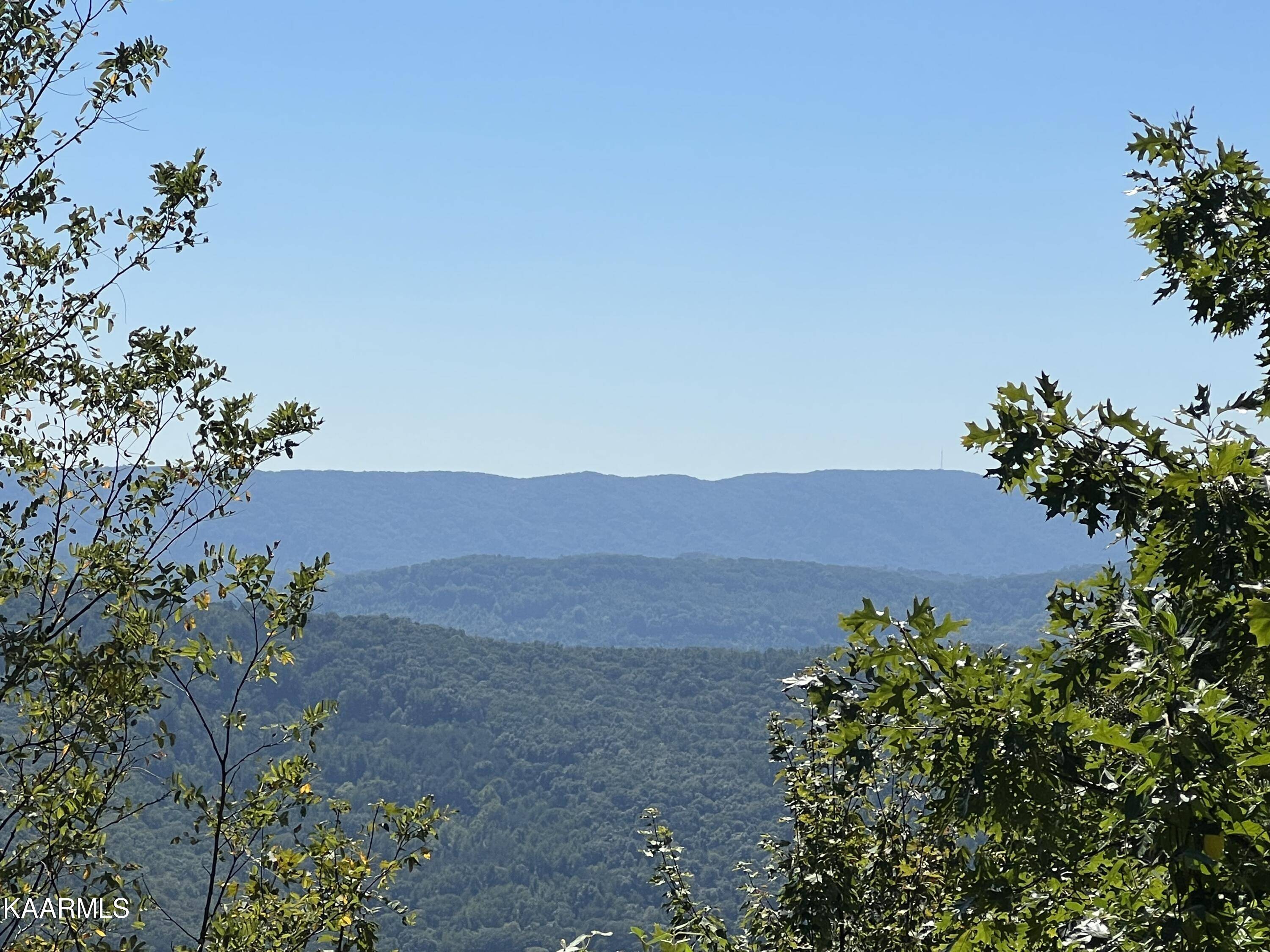 New Tazewell, TN 37825,Lot 406 Chimney Rock Rd