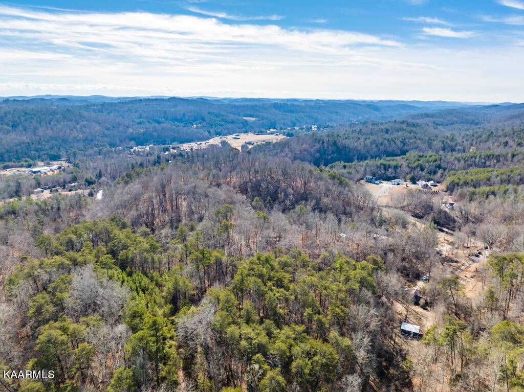 Andersonville, TN 37705,246 Tudor Hollow Rd