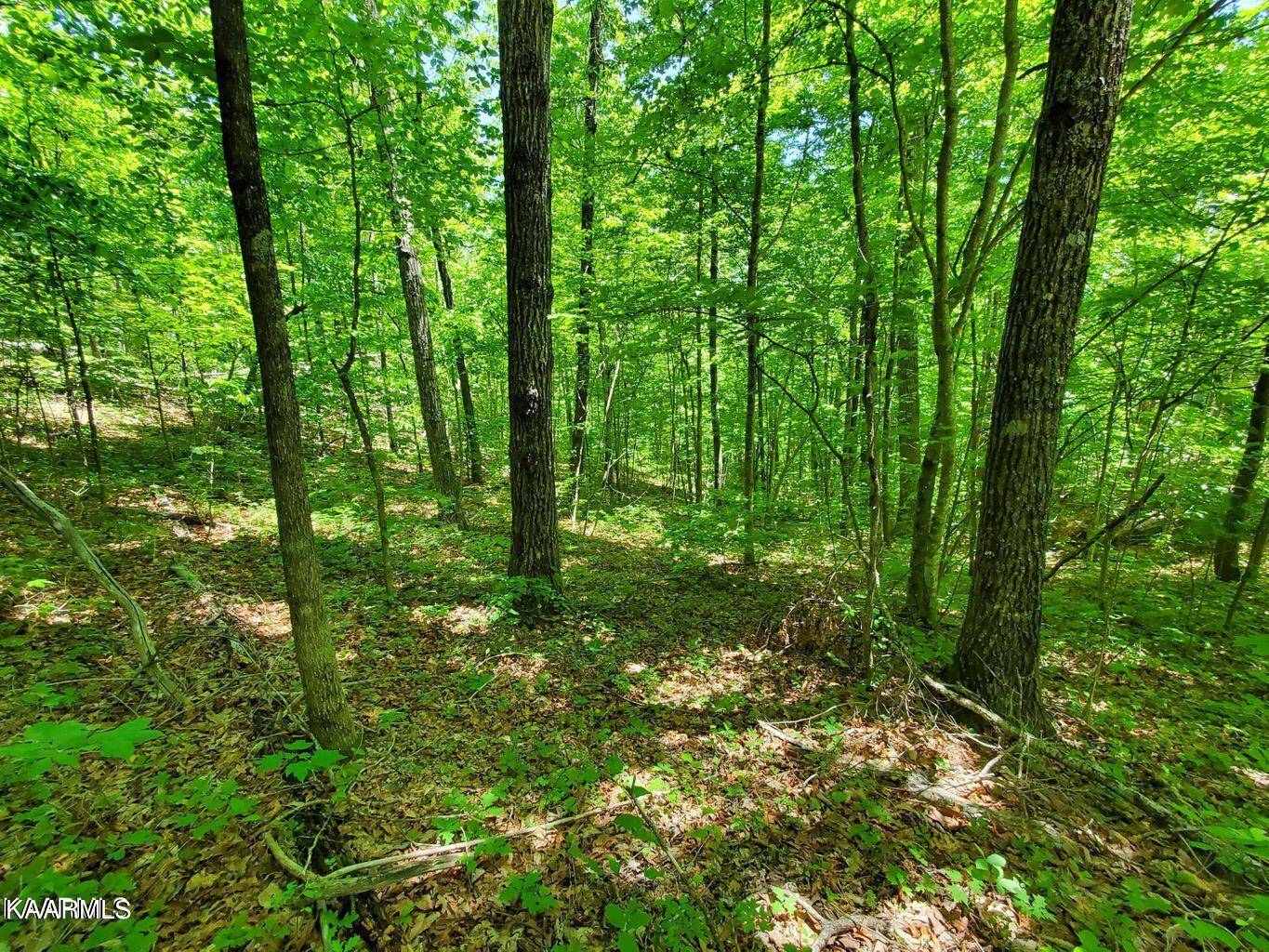 Sevierville, TN 37862,lot 52 Patriot Ln