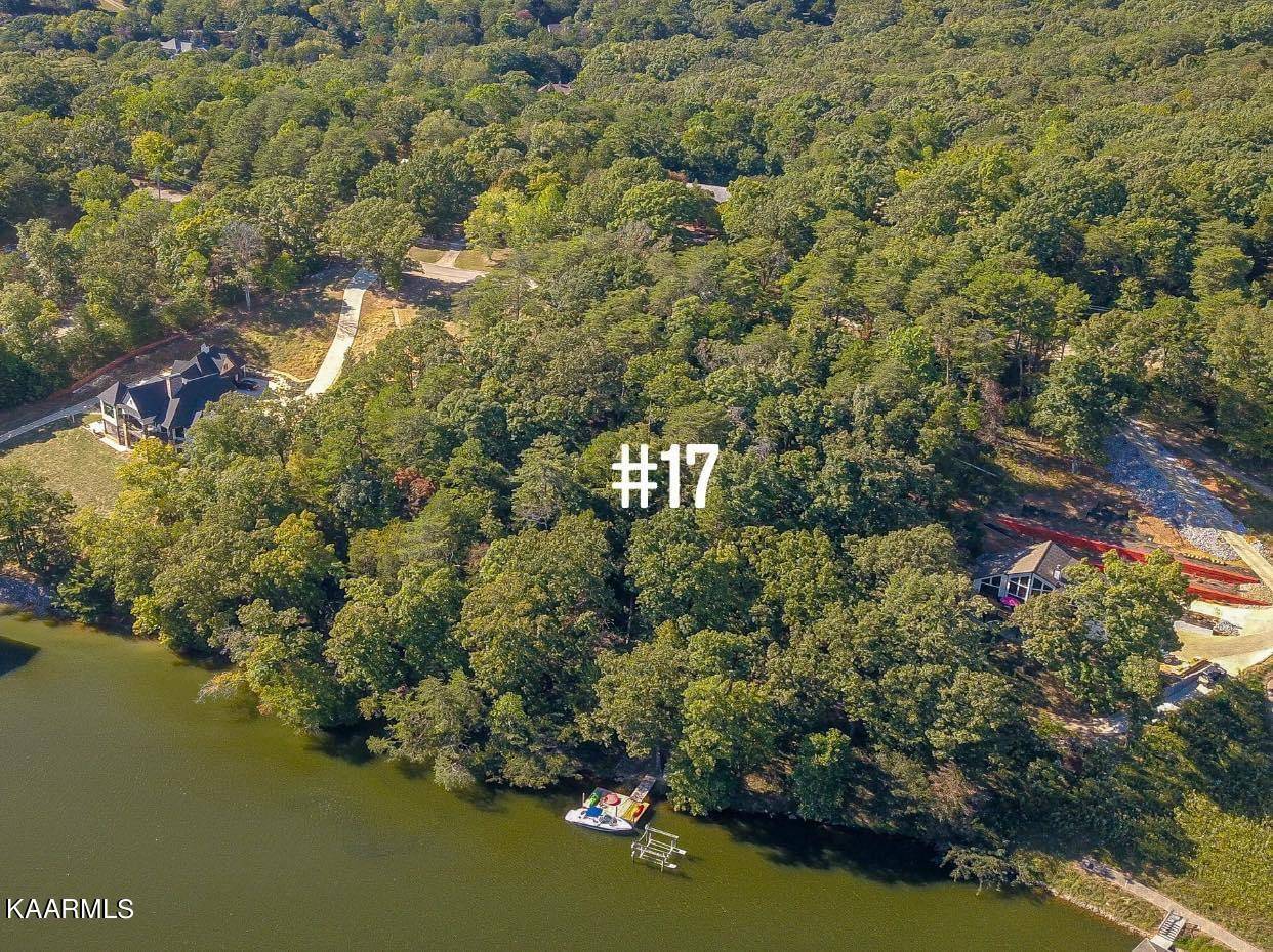 Lenoir City, TN 37772,Lot #17 Blackberry Ridge DR