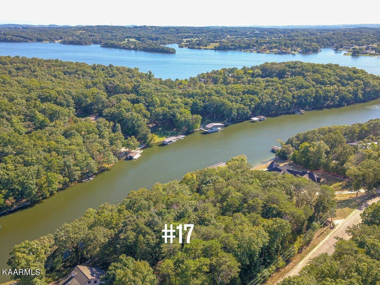 Lenoir City, TN 37772,Lot #17 Blackberry Ridge DR