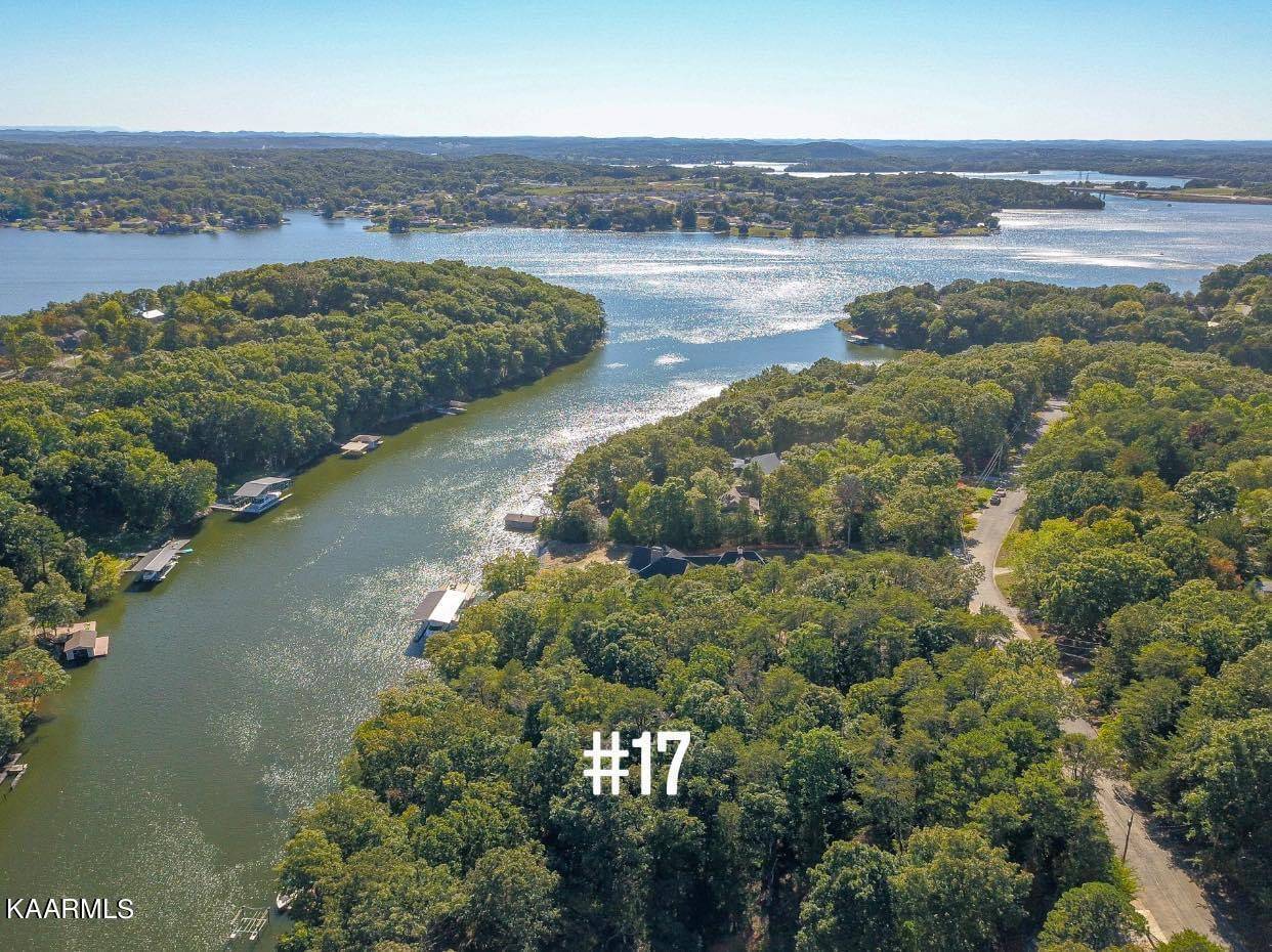 Lenoir City, TN 37772,Lot #17 Blackberry Ridge DR