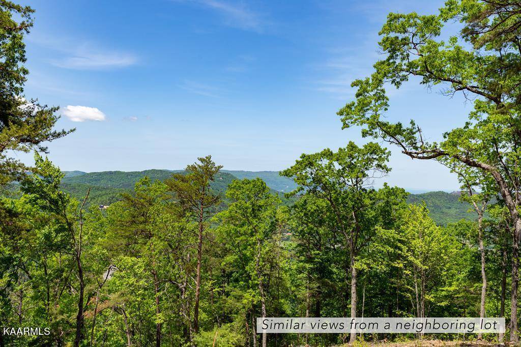 Sevierville, TN 37862,Lot 41 Little Round Top LN