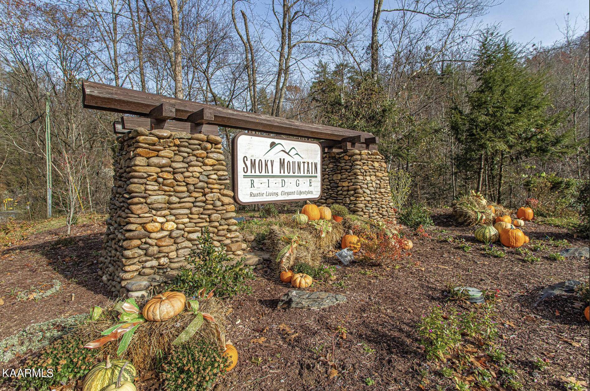 Sevierville, TN 37862,Lot 41 Smoky Ridge Way