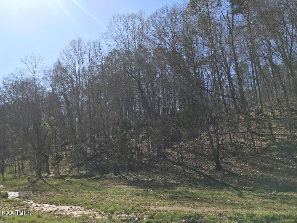 Rutledge, TN 37861,Bull Hollow Rd