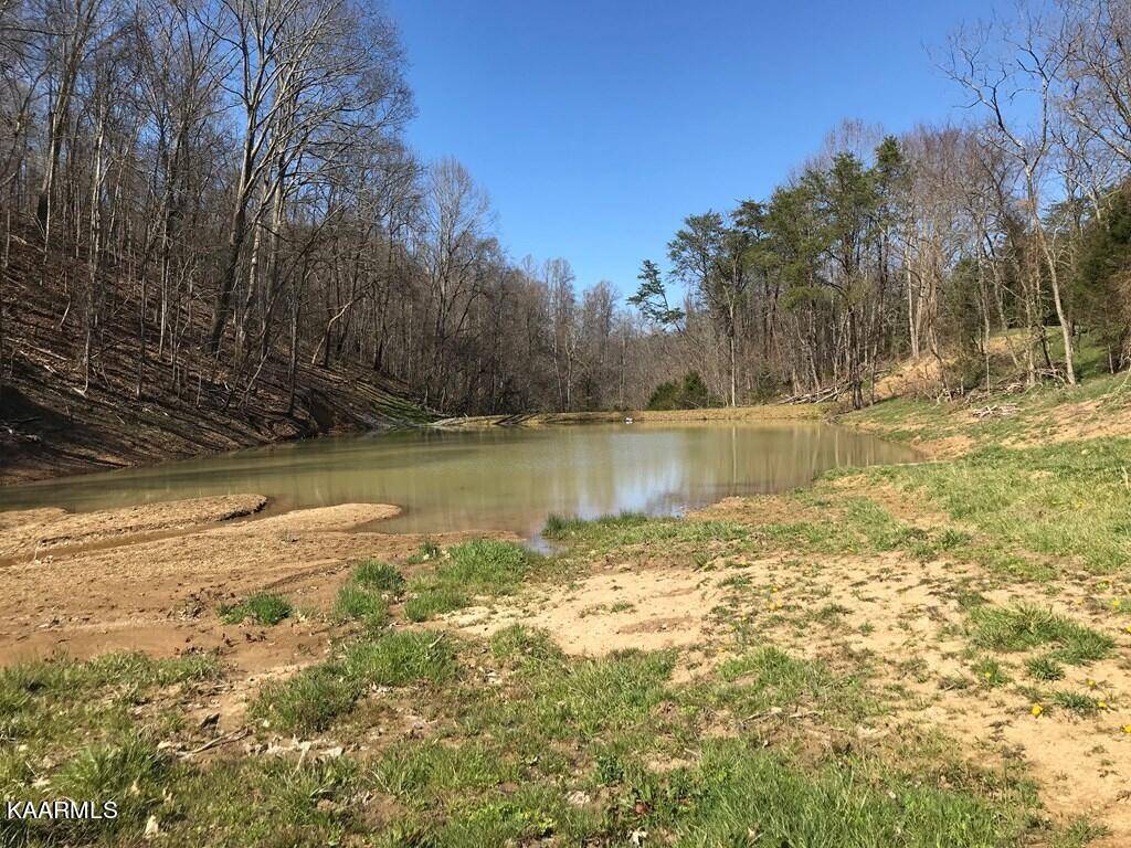 Rutledge, TN 37861,Bull Hollow Rd