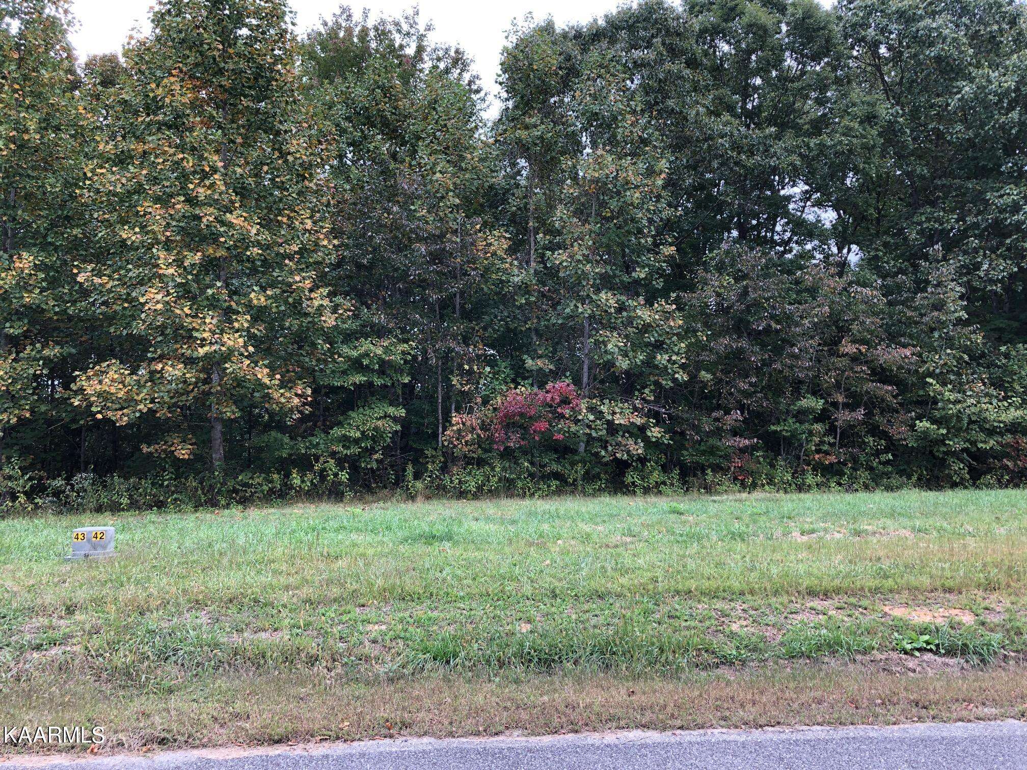 Lafollette, TN 37766,Lot 42 Old Hearth DR