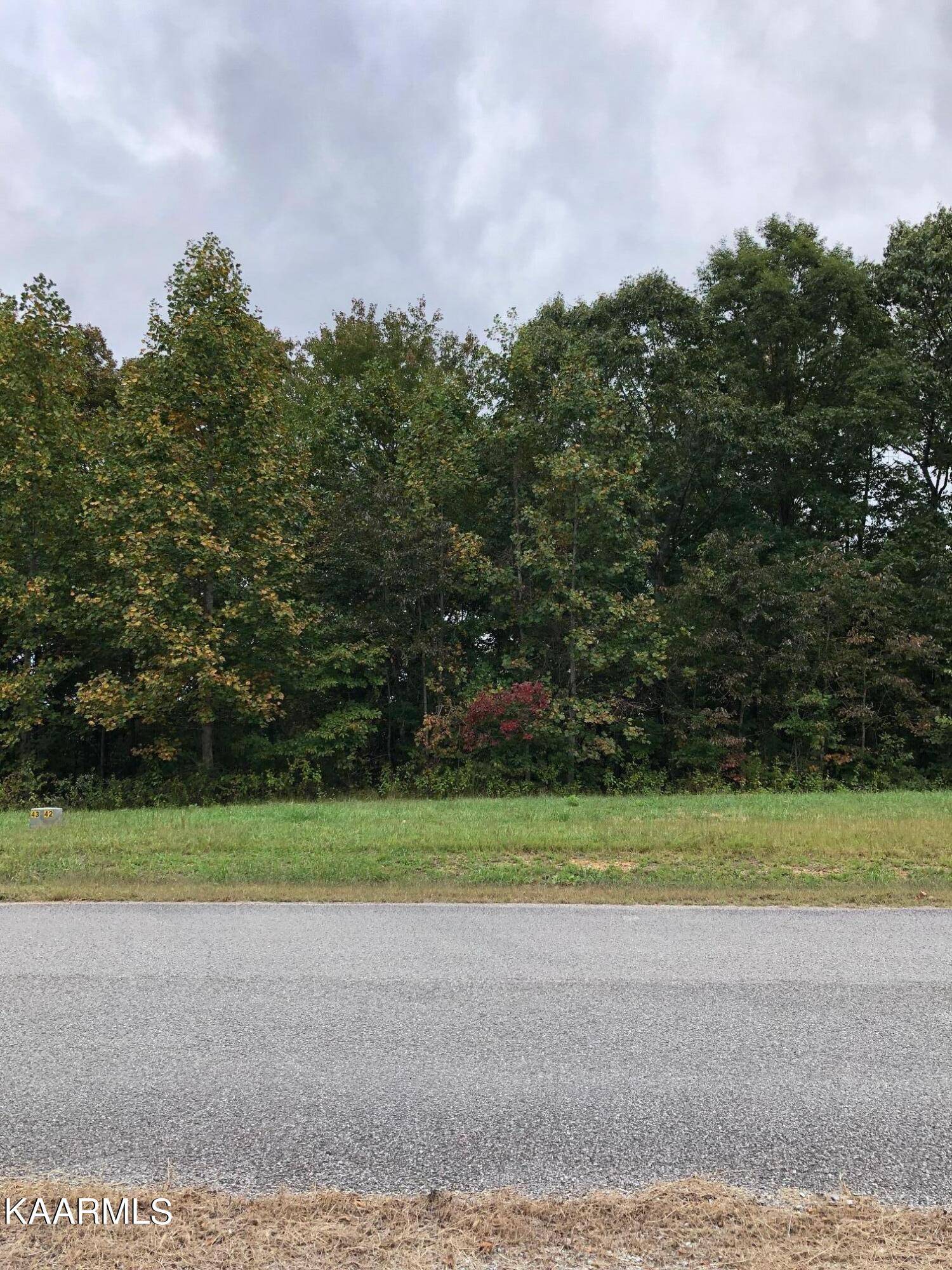 Lafollette, TN 37766,Lot 42 Old Hearth DR