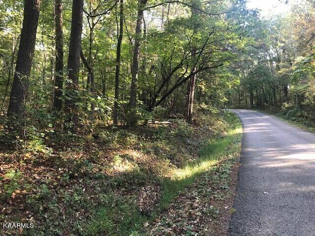 Benton, TN 37307,Lot 7 Mountain View Road