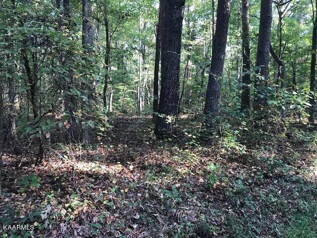 Benton, TN 37307,Lot 7 Mountain View Road