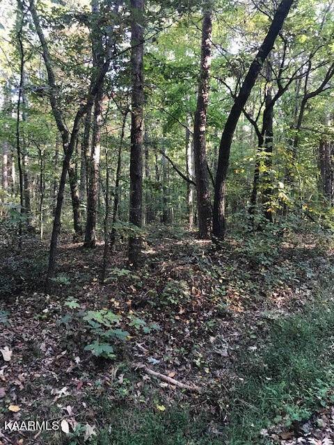 Benton, TN 37307,Lot 7 Mountain View Road