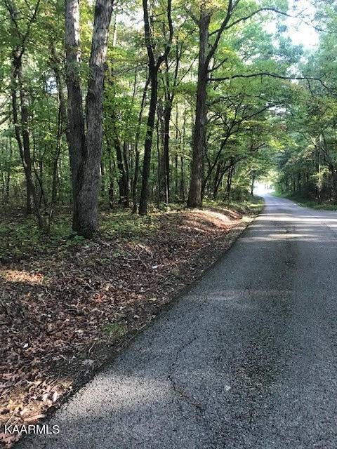 Benton, TN 37307,Lot 8 Mountain View Road