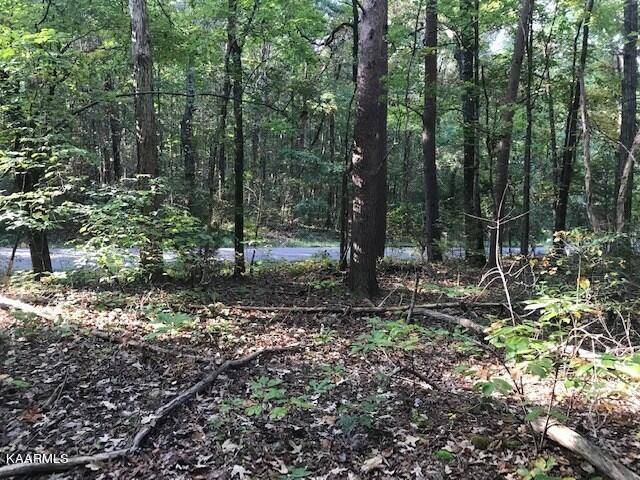 Benton, TN 37307,Lot 8 Mountain View Road