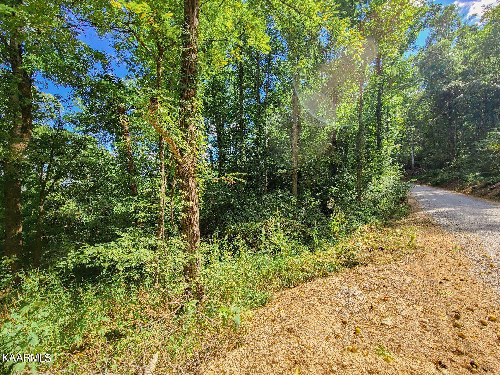 Sevierville, TN 37862,Lot 14 Lonesome Pine WAY