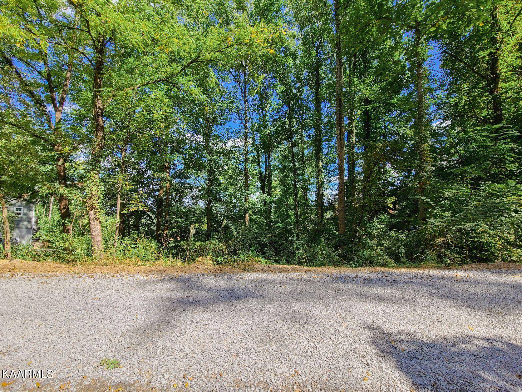 Sevierville, TN 37862,Lot 14 Lonesome Pine WAY