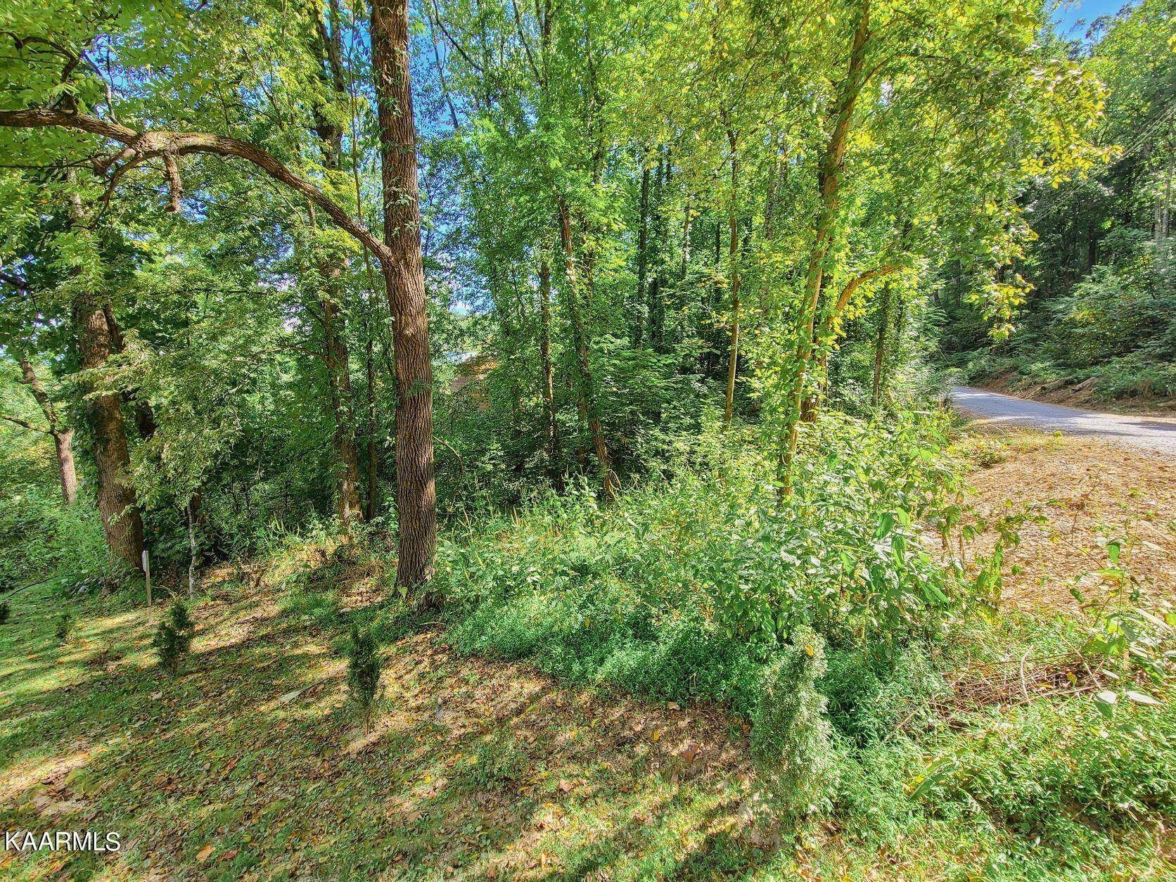 Sevierville, TN 37862,Lot 14 Lonesome Pine WAY