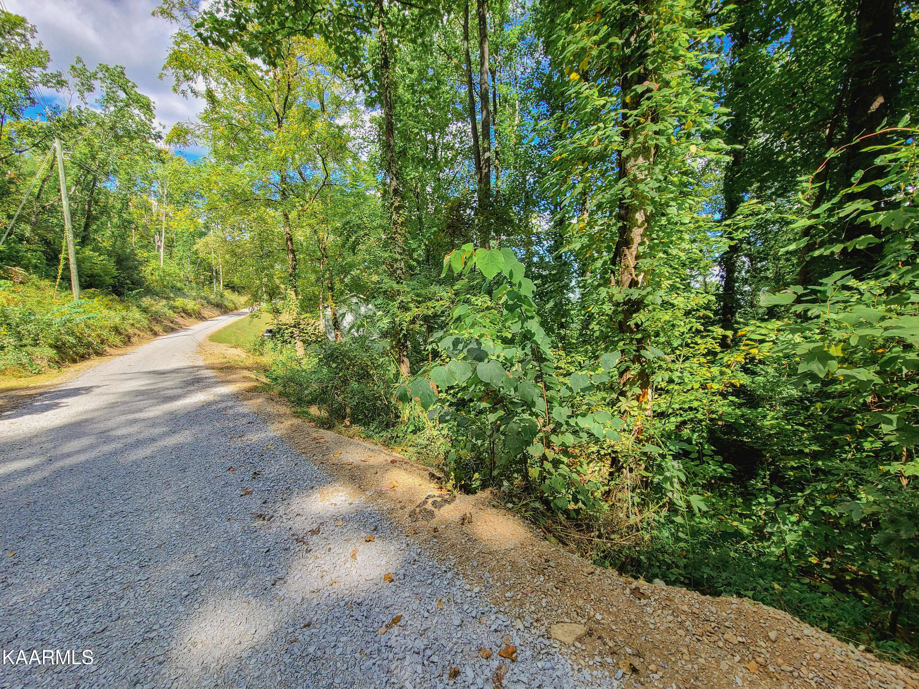 Sevierville, TN 37862,Lot 14 Lonesome Pine WAY