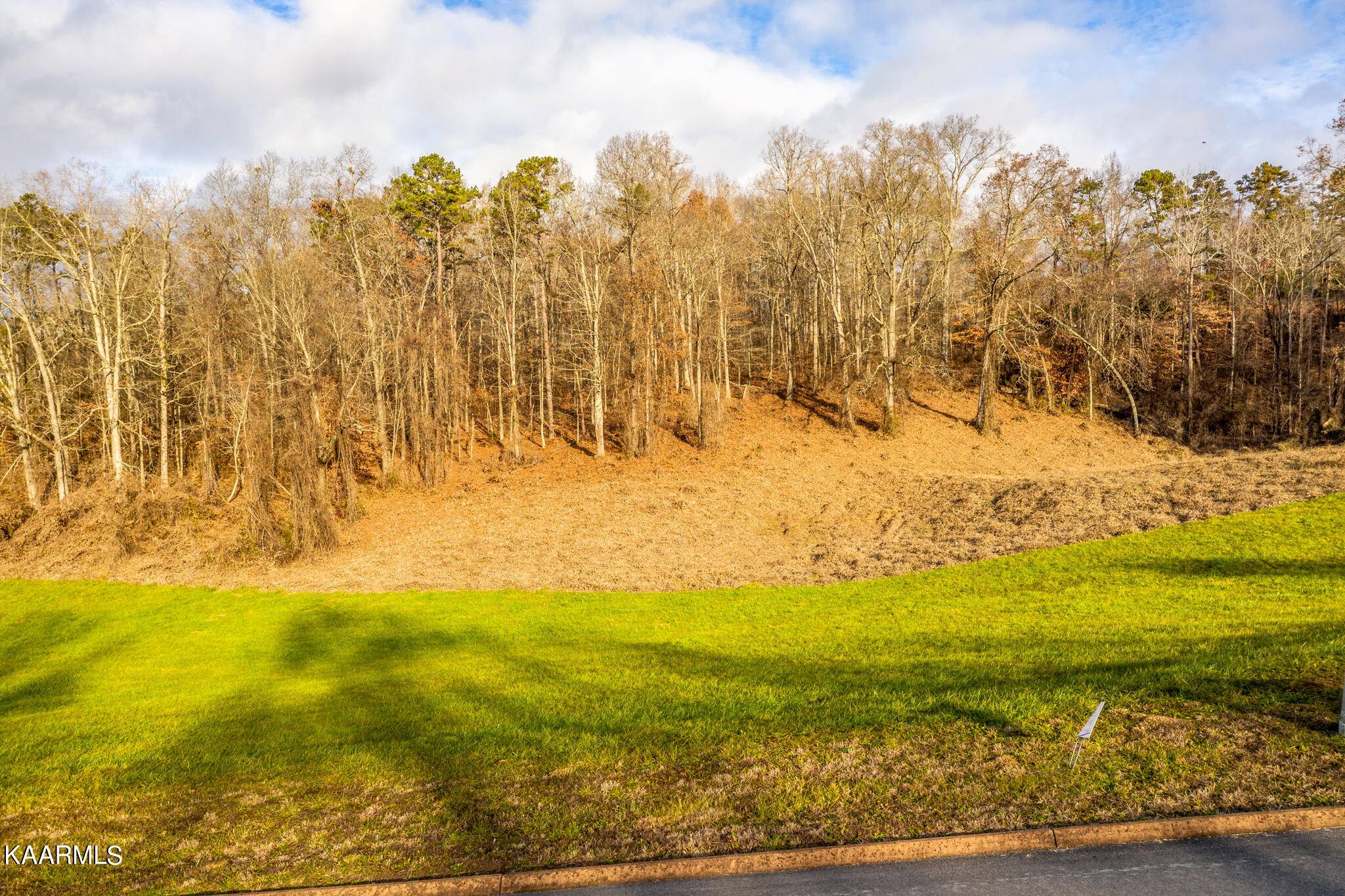 Rutledge, TN 37861,Lot 56 Cow Poke LN