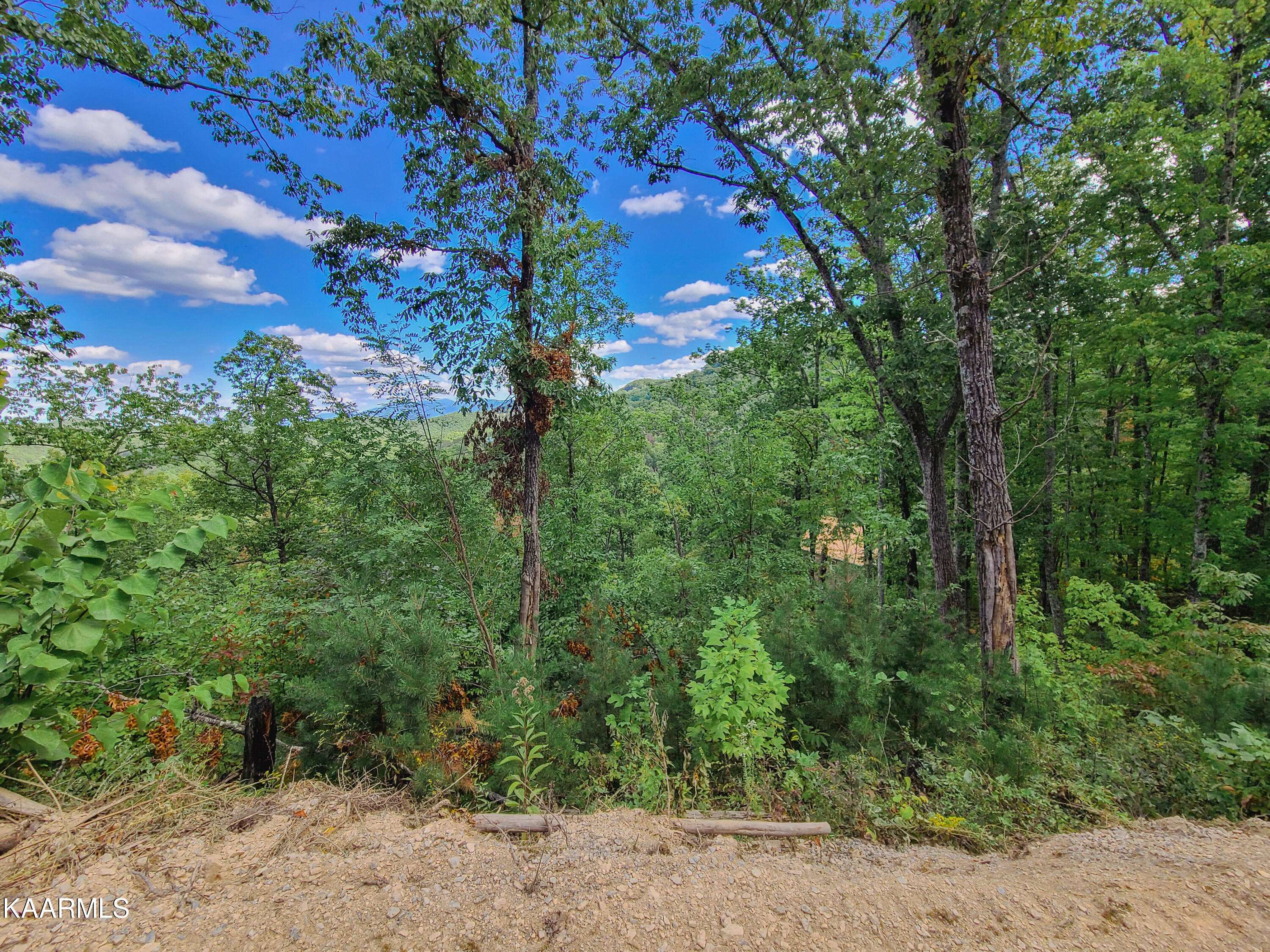 Sevierville, TN 37862,Lot 18 Lonesome Pine WAY