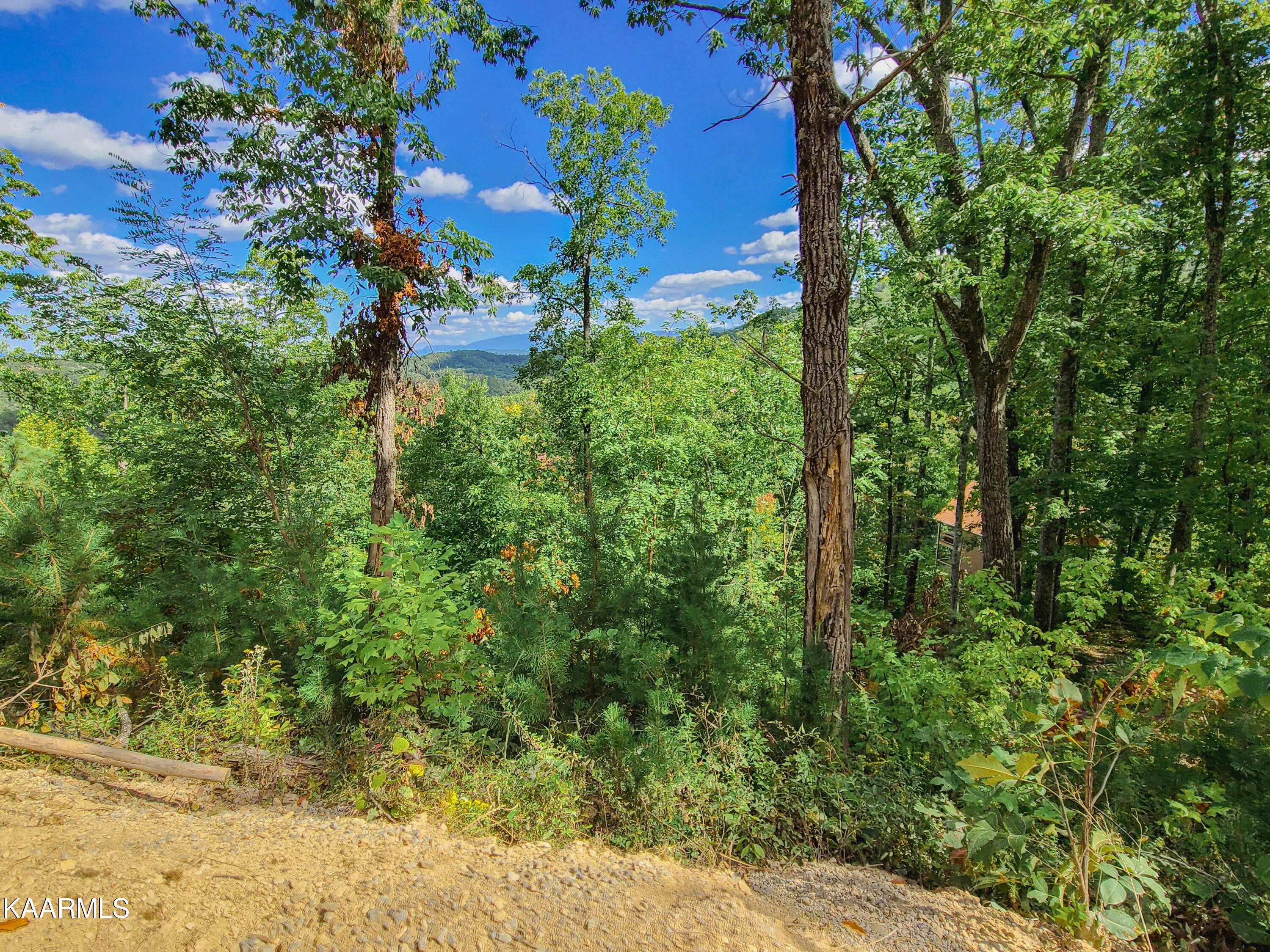 Sevierville, TN 37862,Lot 18 Lonesome Pine WAY