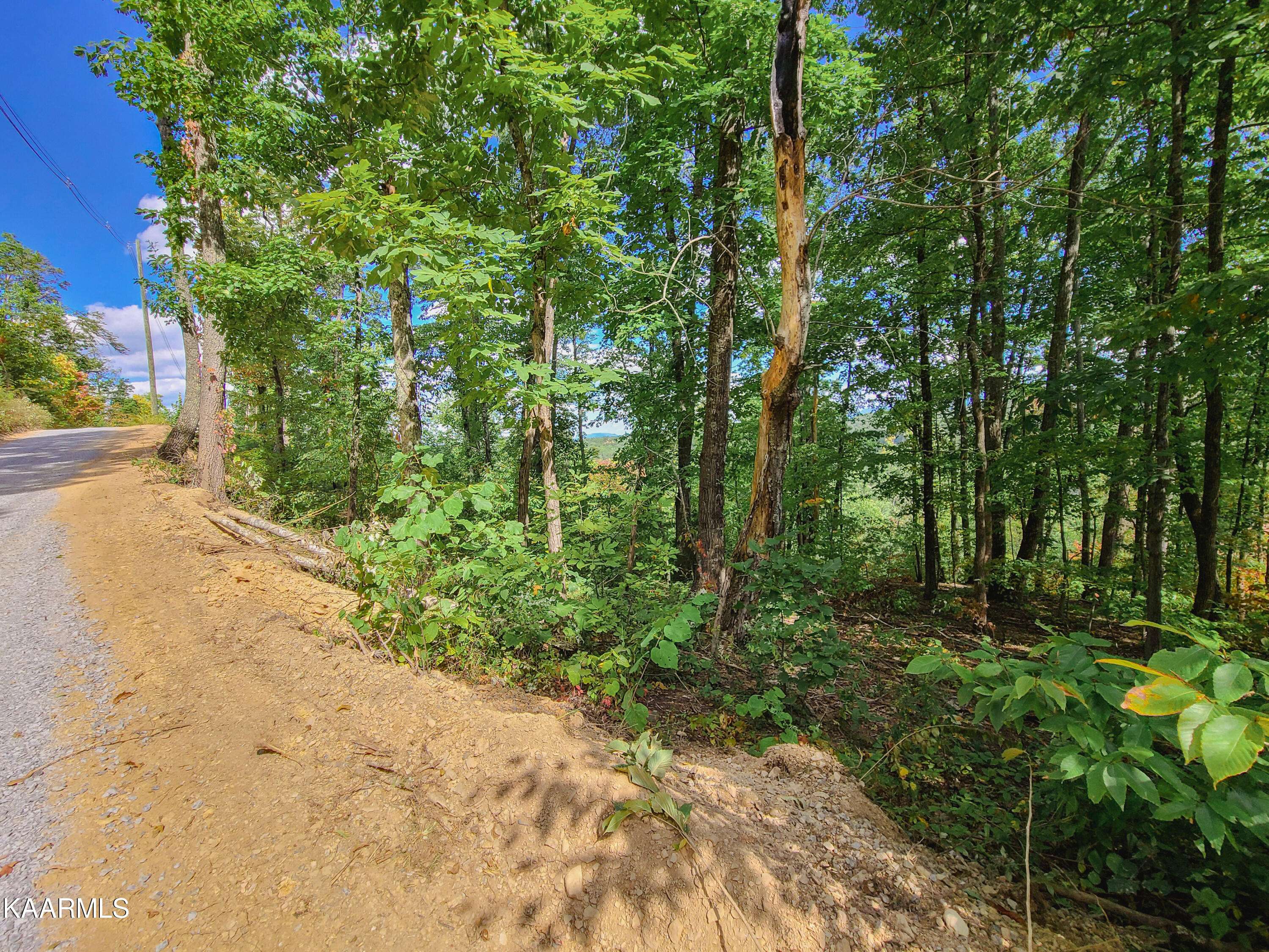 Sevierville, TN 37862,Lot 18 Lonesome Pine WAY