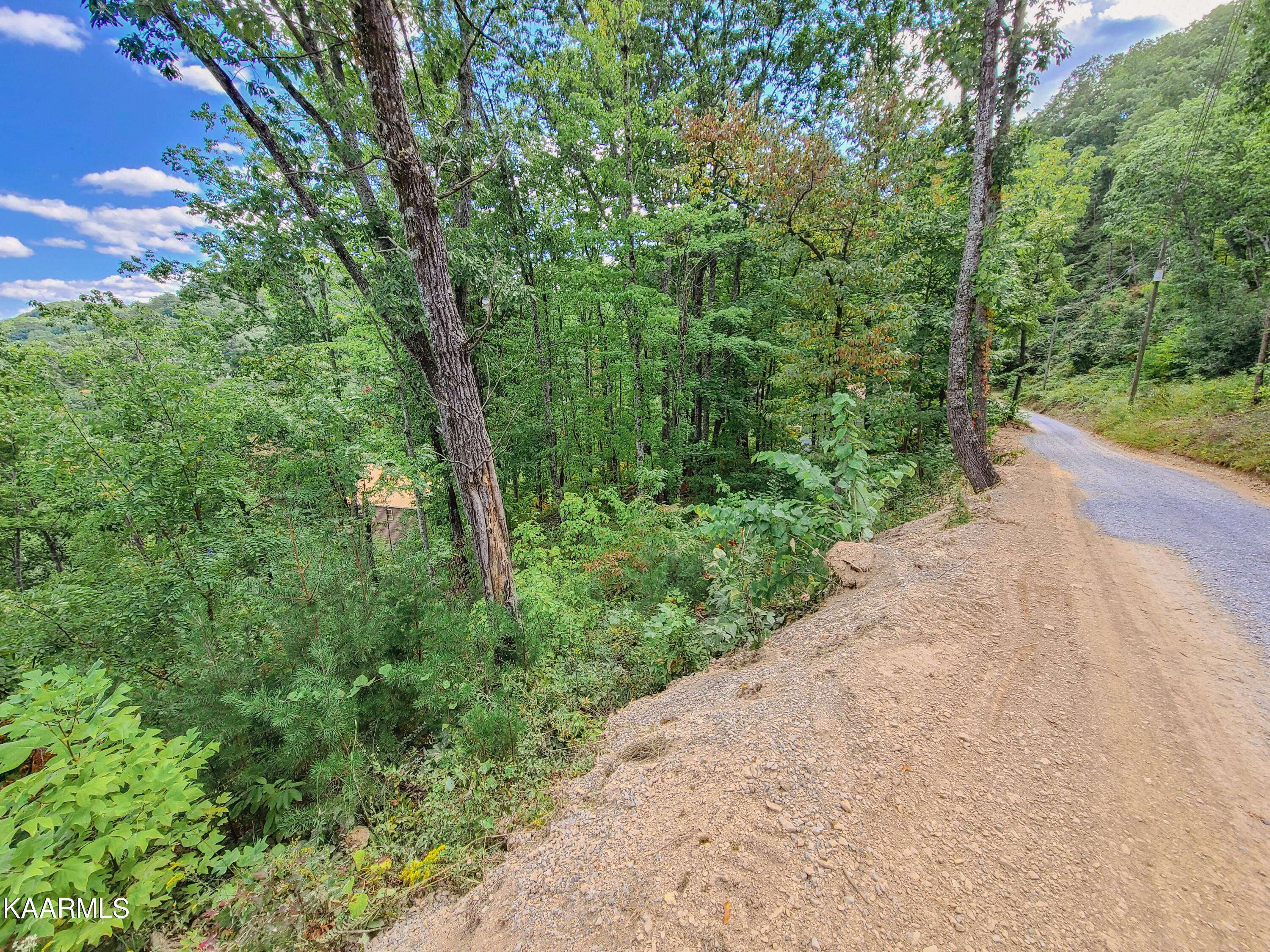 Sevierville, TN 37862,Lot 18 Lonesome Pine WAY