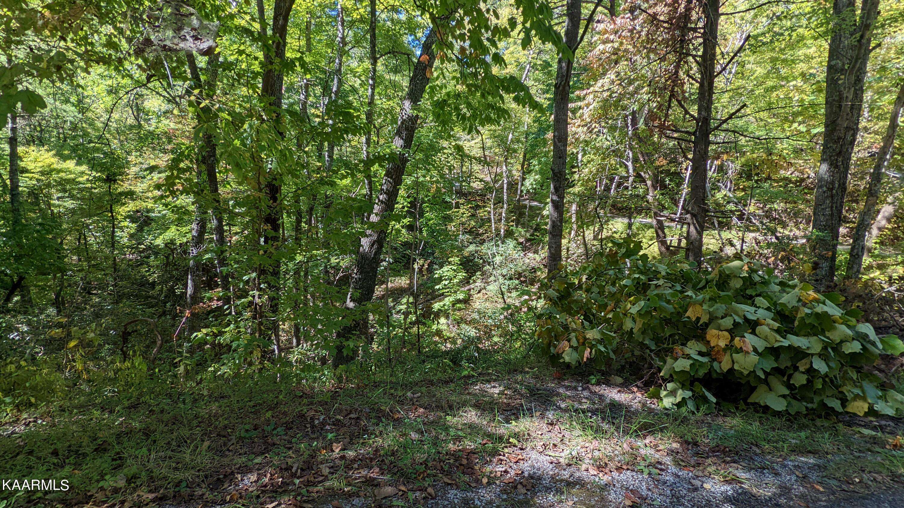 Sevierville, TN 37862,Lot 30 Brooke Hollow LN