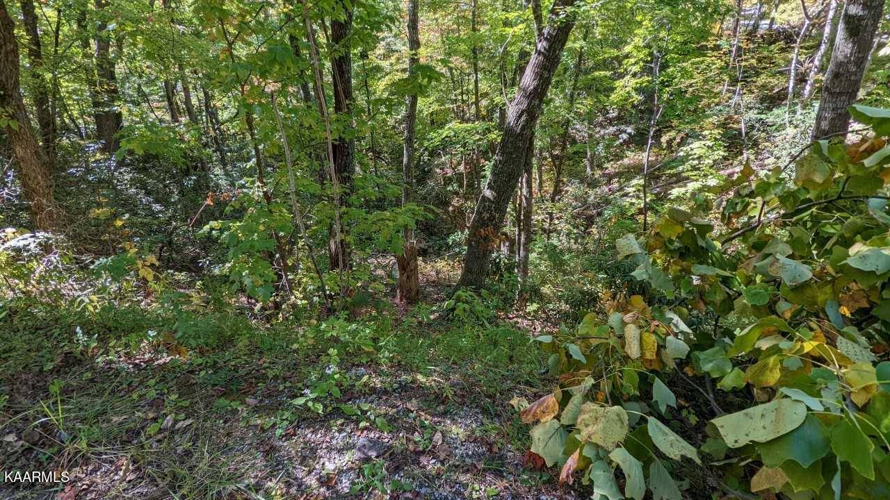 Sevierville, TN 37862,Lot 30 Brooke Hollow LN