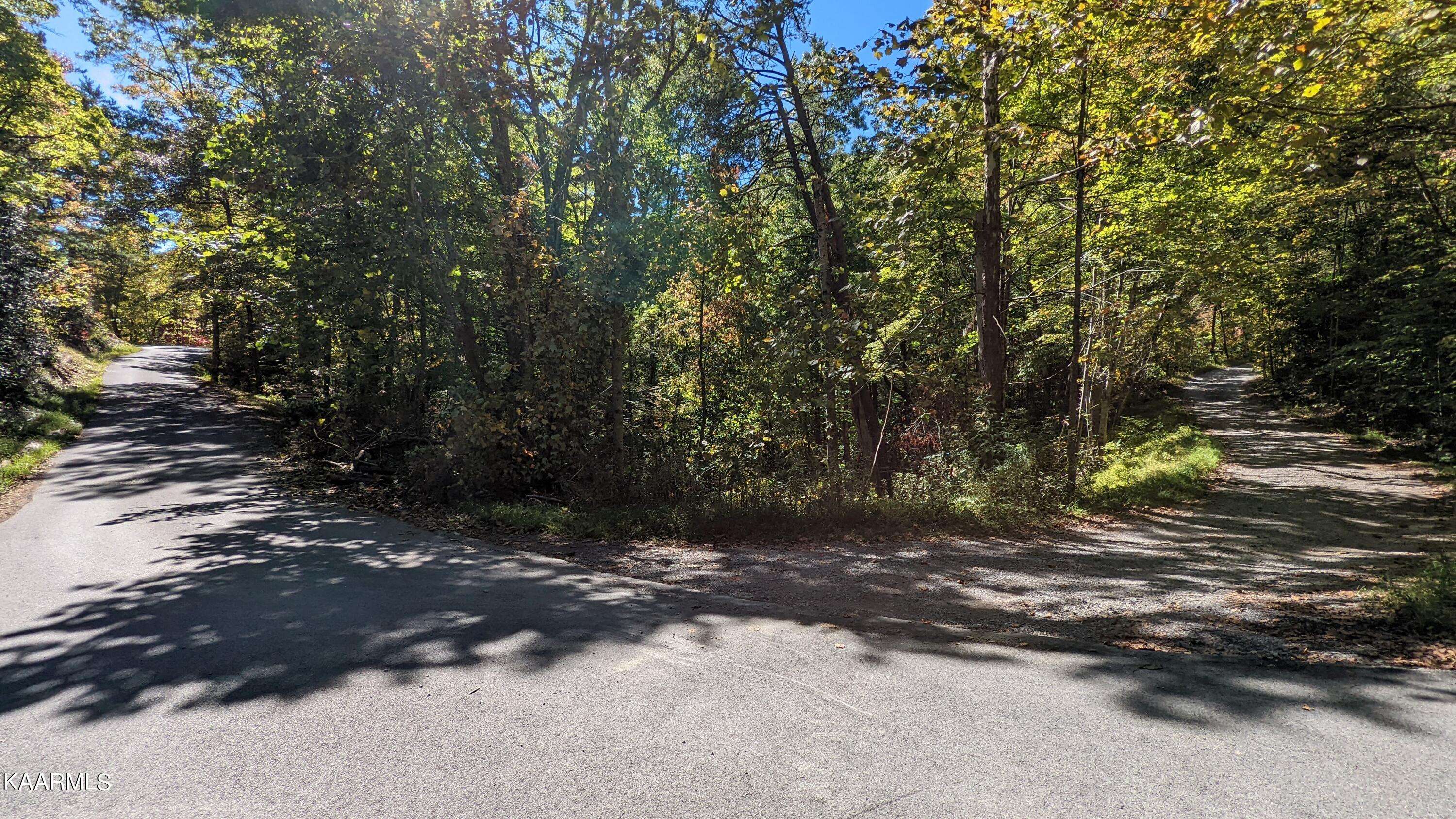 Sevierville, TN 37862,Lot 30 Brooke Hollow LN