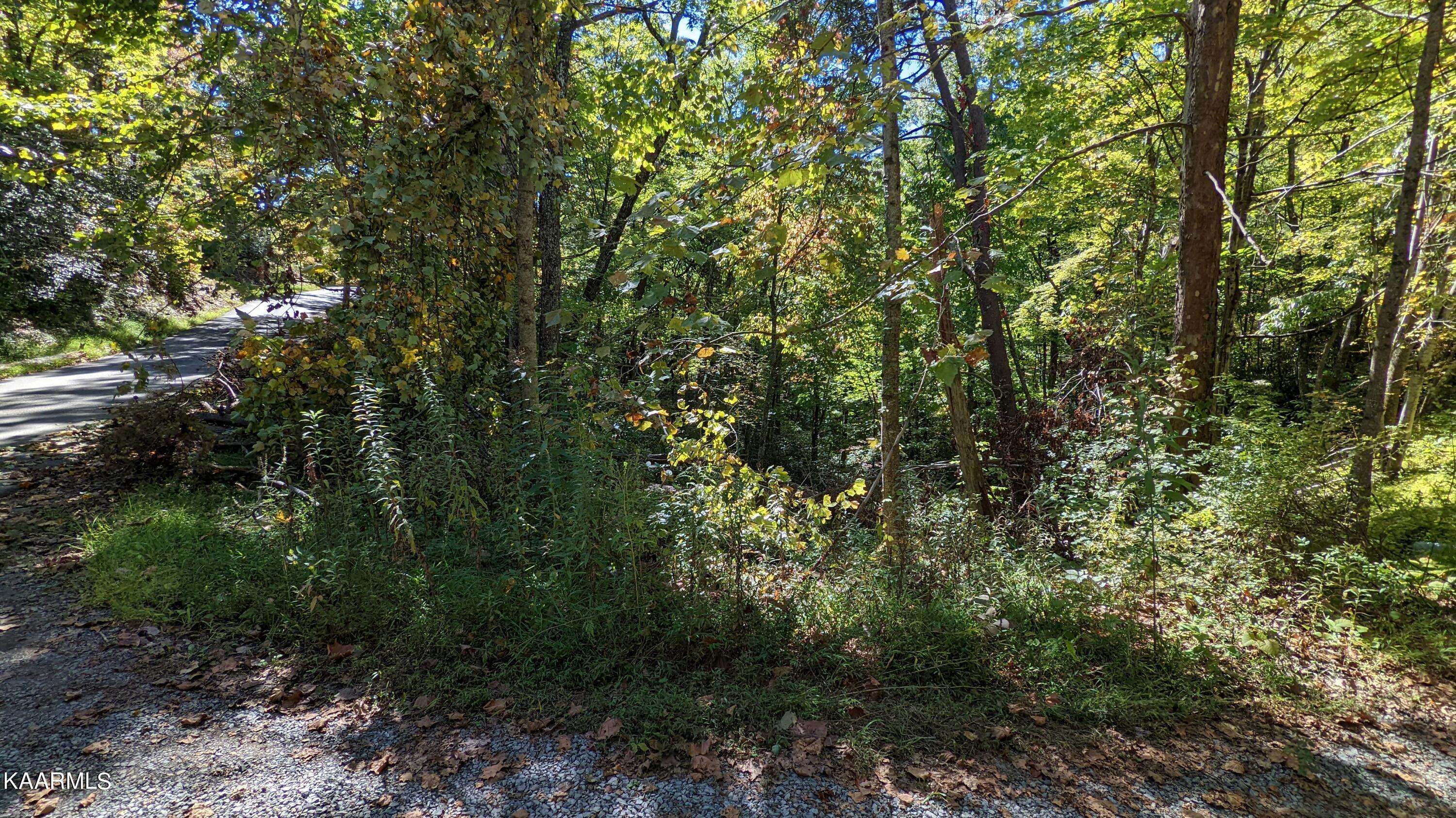 Sevierville, TN 37862,Lot 30 Brooke Hollow LN