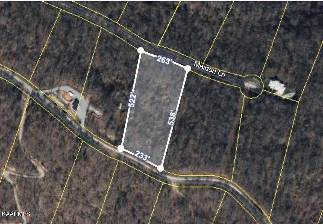 Speedwell, TN 37870,Lot 140 Maiden LN