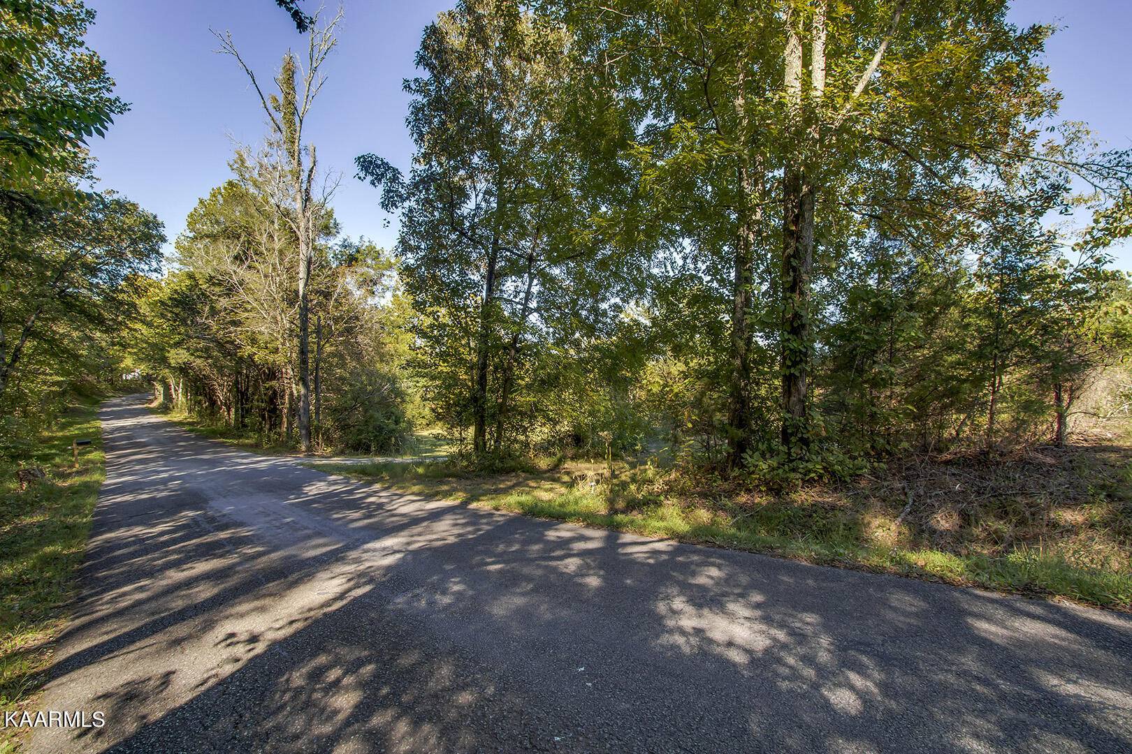 Tellico Plains, TN 37385,Shadden Rd