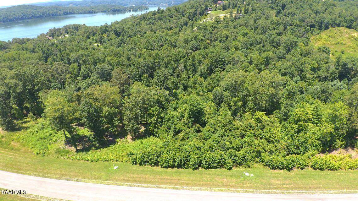 Rockwood, TN 37854,424 Water View DR