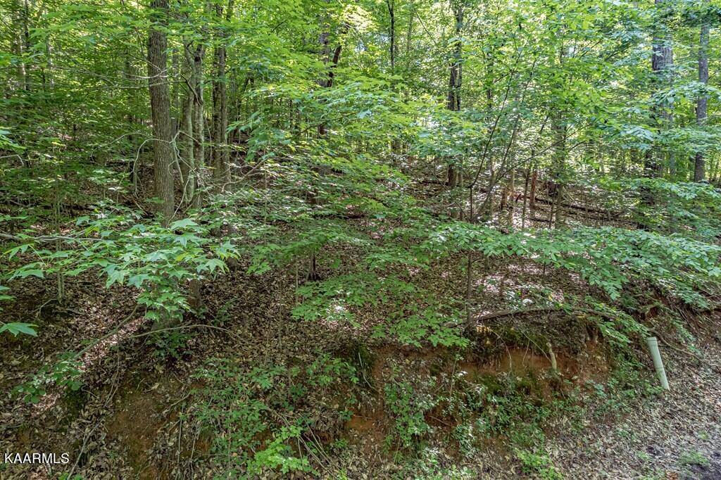 Ten Mile, TN 37880,00 Indian Shadows DR