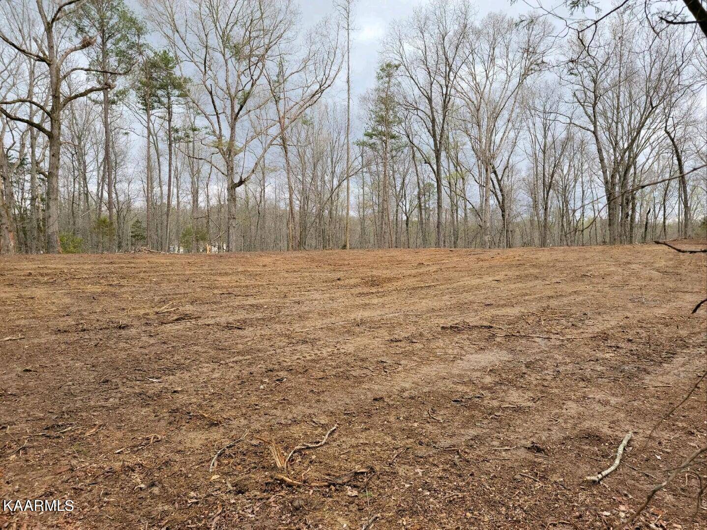 Spring City, TN 37381,Lot 186 Scenic Lakeview Drive