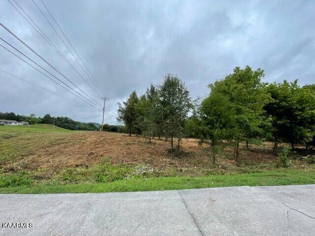 Dandridge, TN 37725,Lot 2 Hwy 92