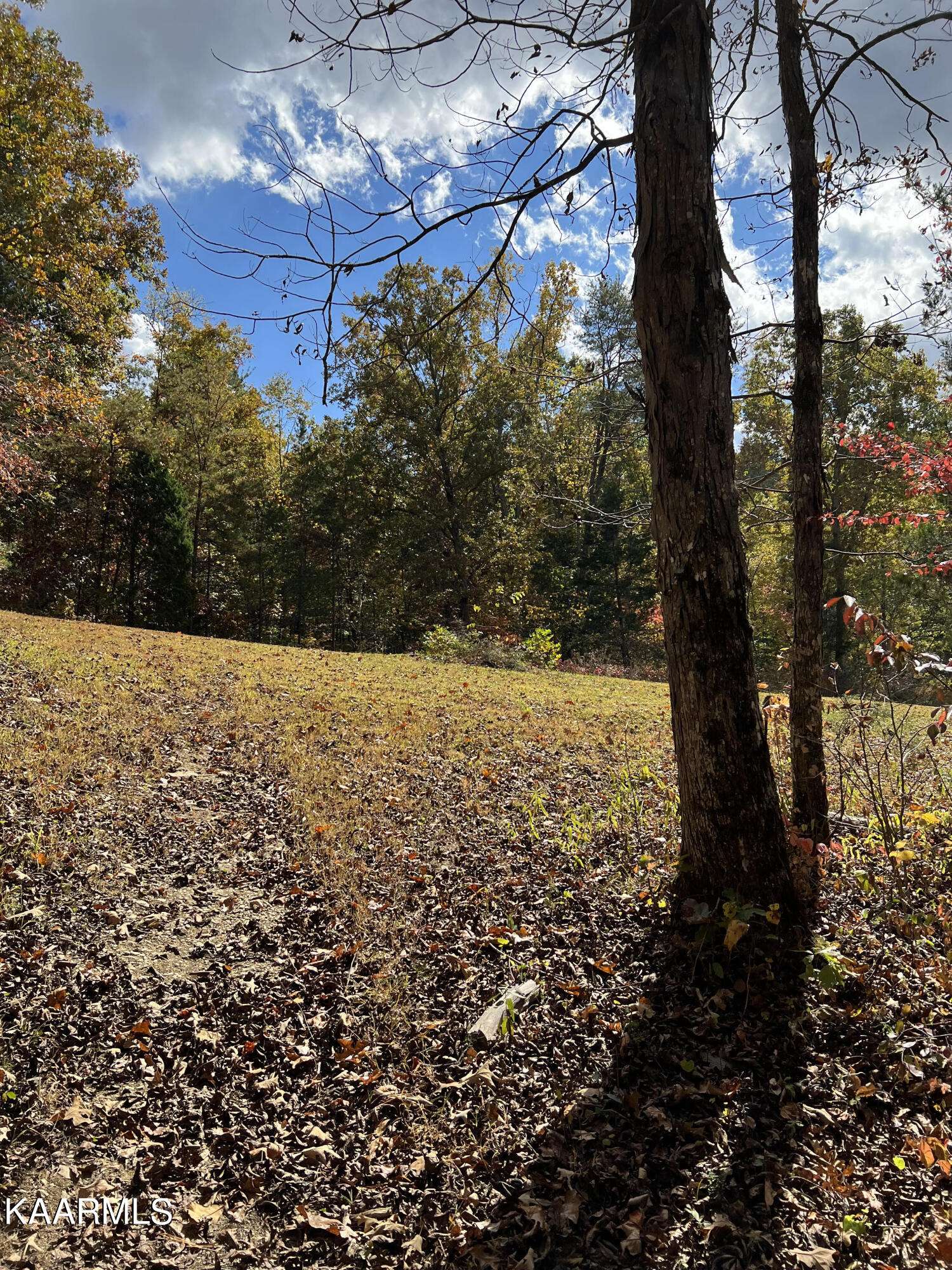 Tellico Plains, TN 37385,1476 Reagan Valley Rd