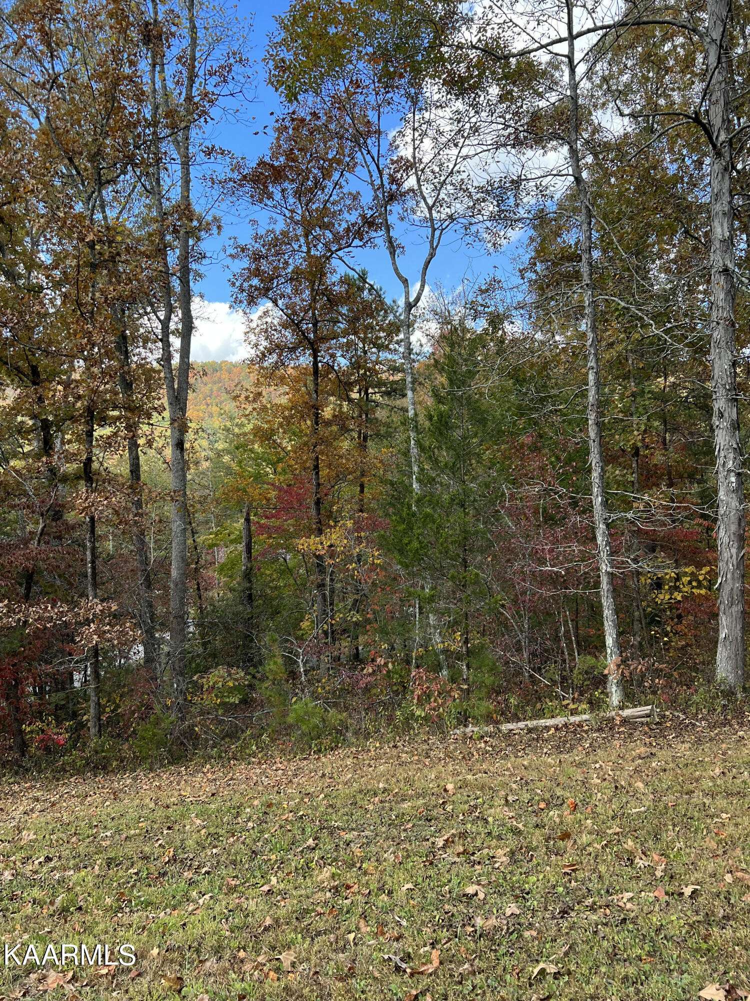 Tellico Plains, TN 37385,1476 Reagan Valley Rd