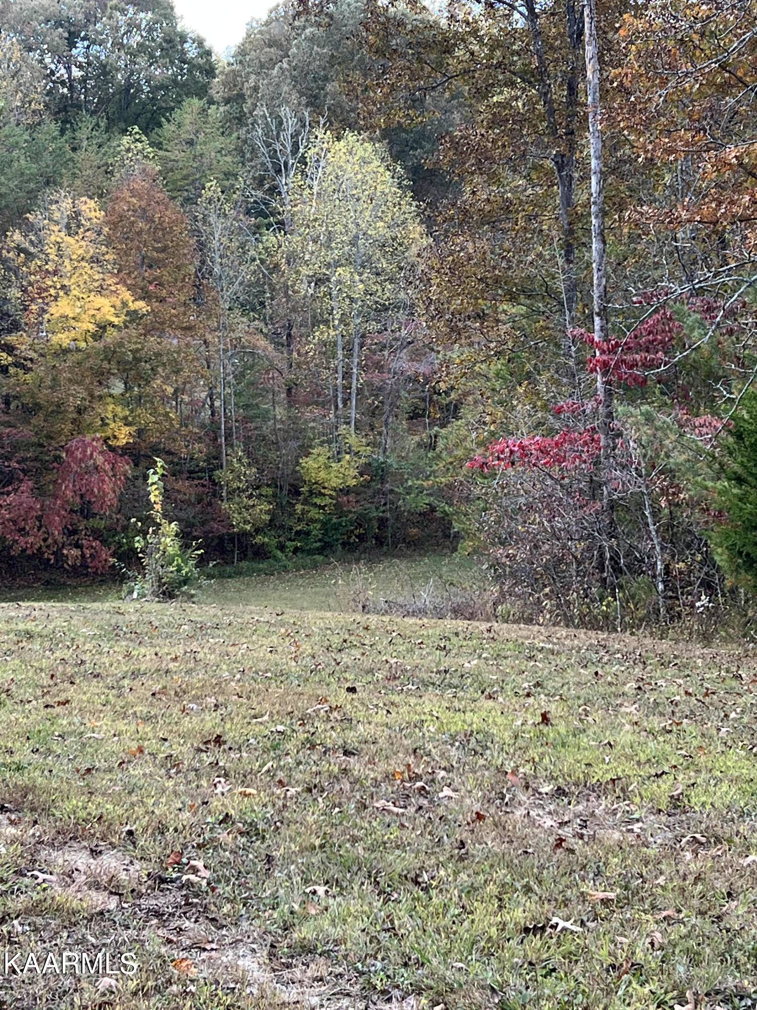 Tellico Plains, TN 37385,1476 Reagan Valley Rd