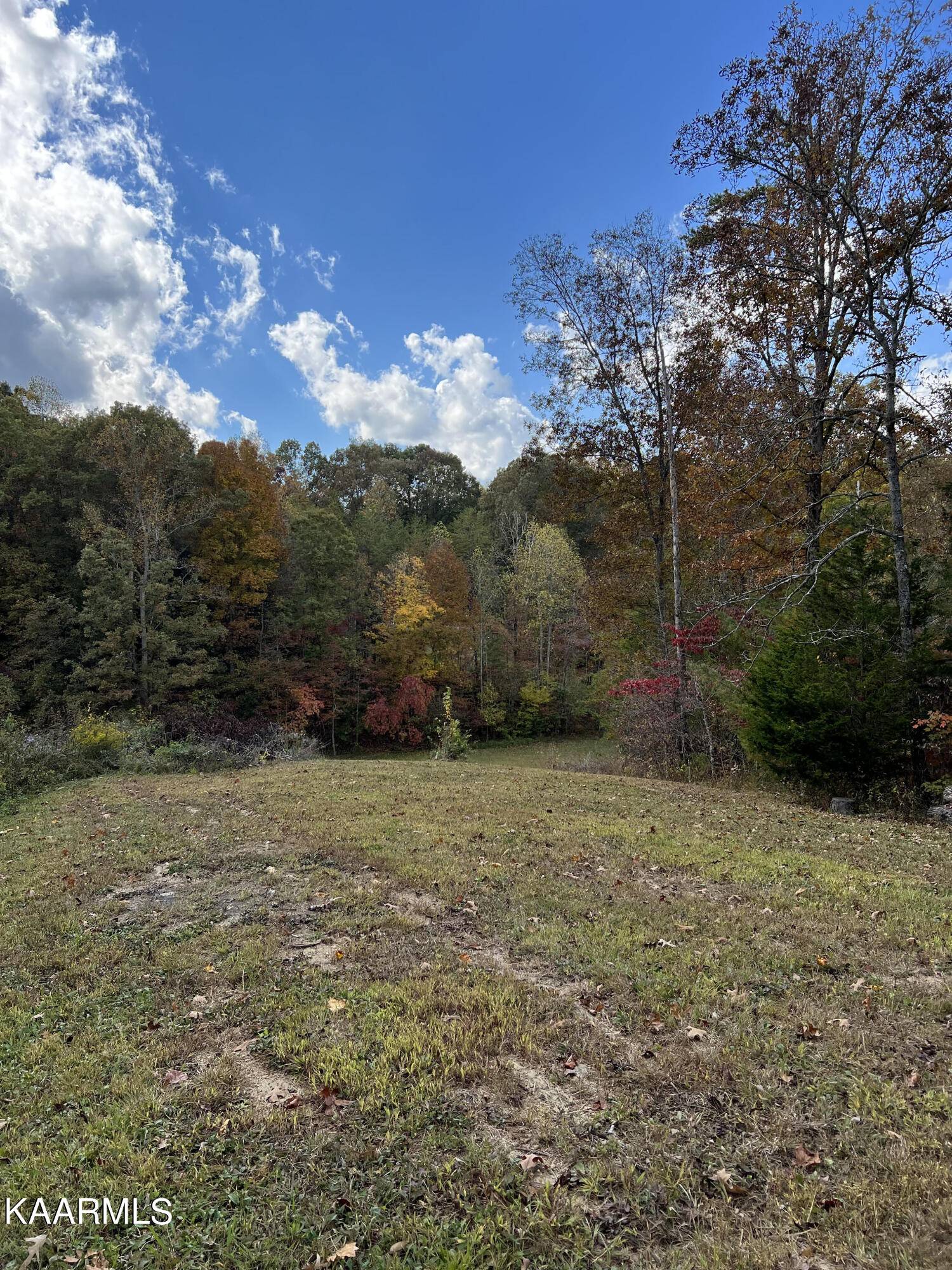 Tellico Plains, TN 37385,1476 Reagan Valley Rd